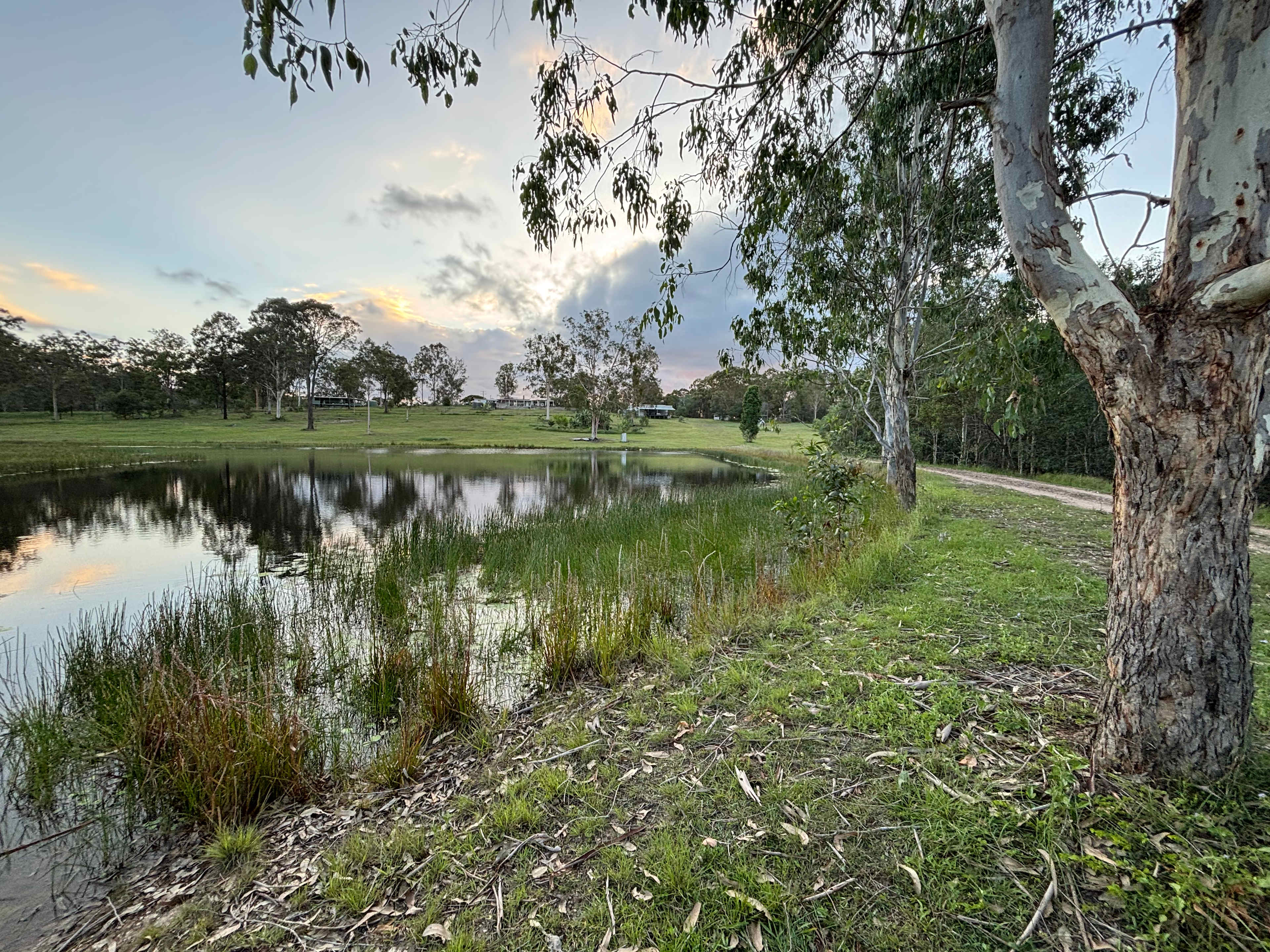 Driveway towards our campsite 