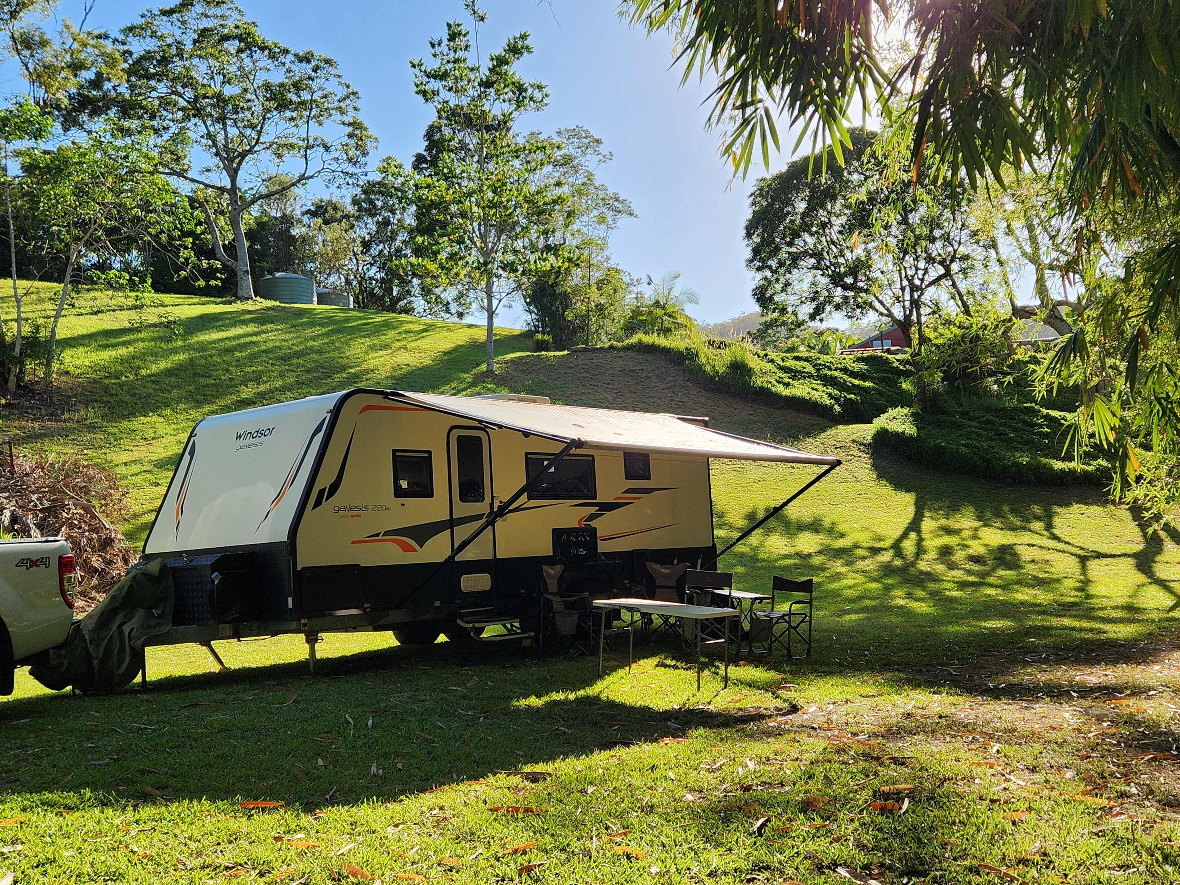 Bamboo site, facing road