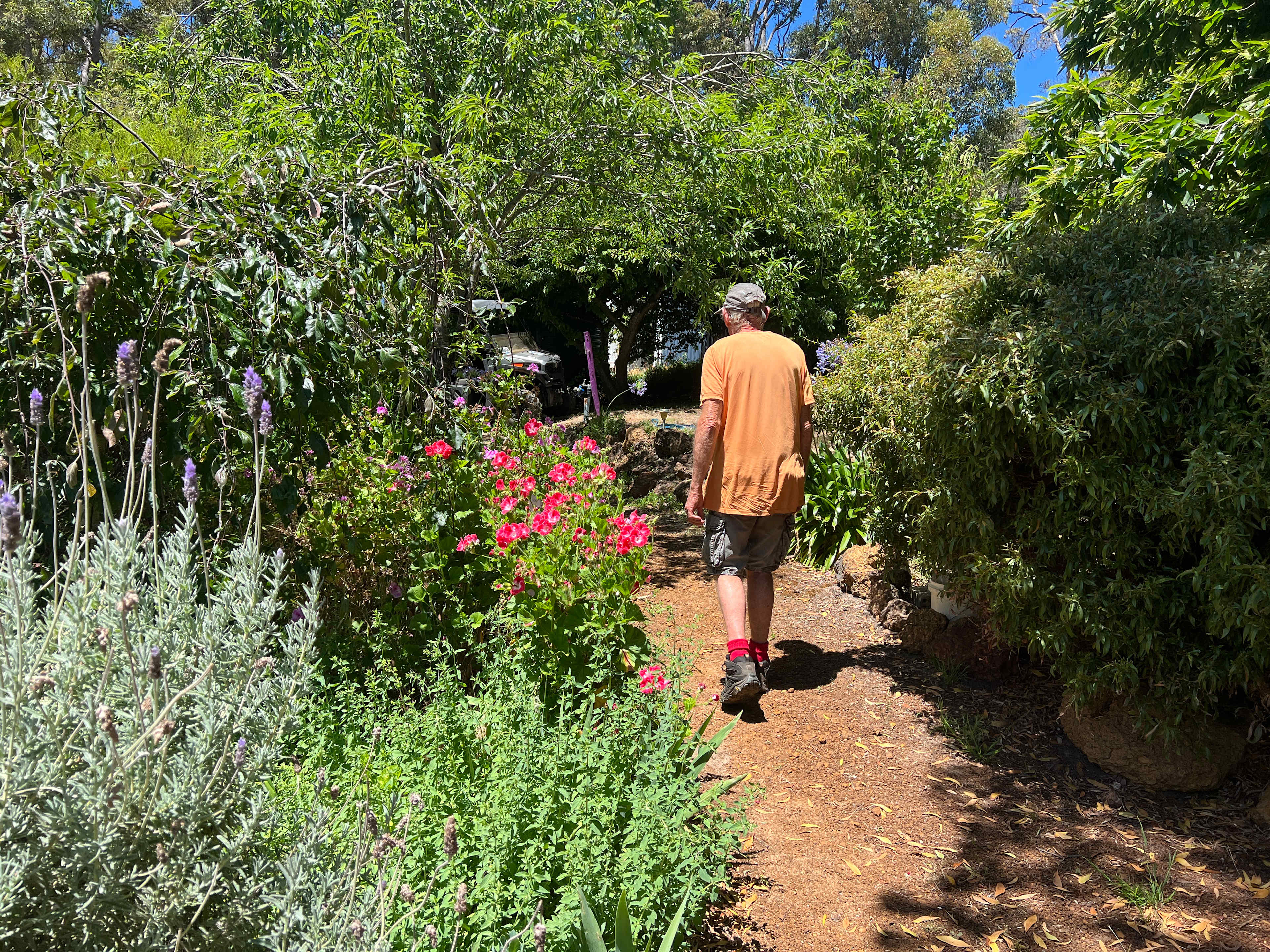 Nannup Lavender Tranquil Campground