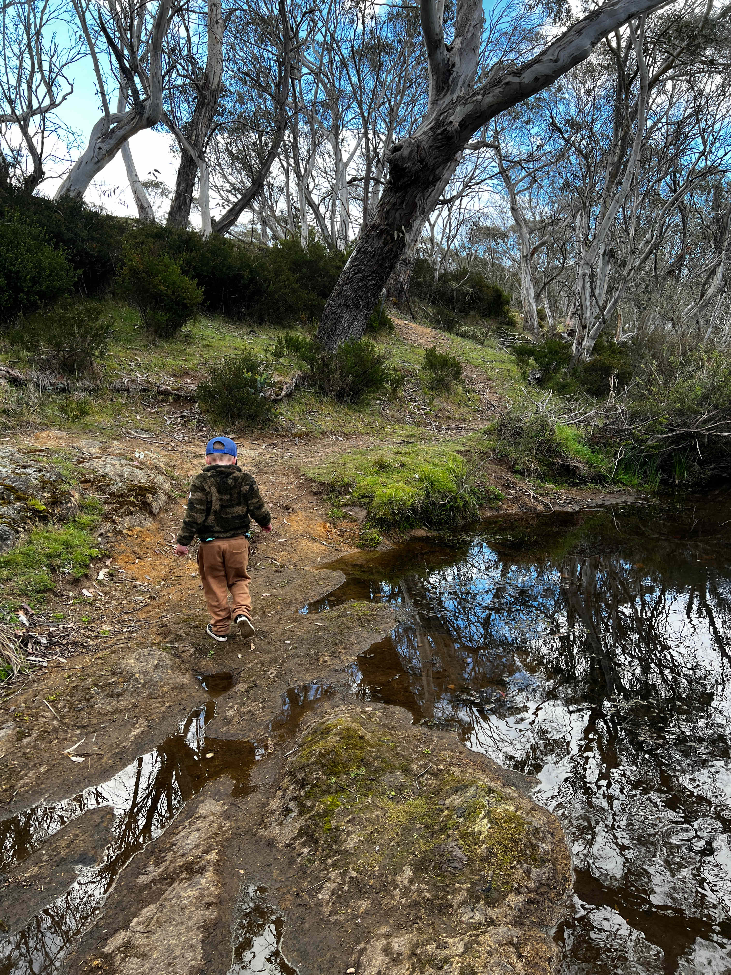 Kallarroo Farm, nr Nimmitabel