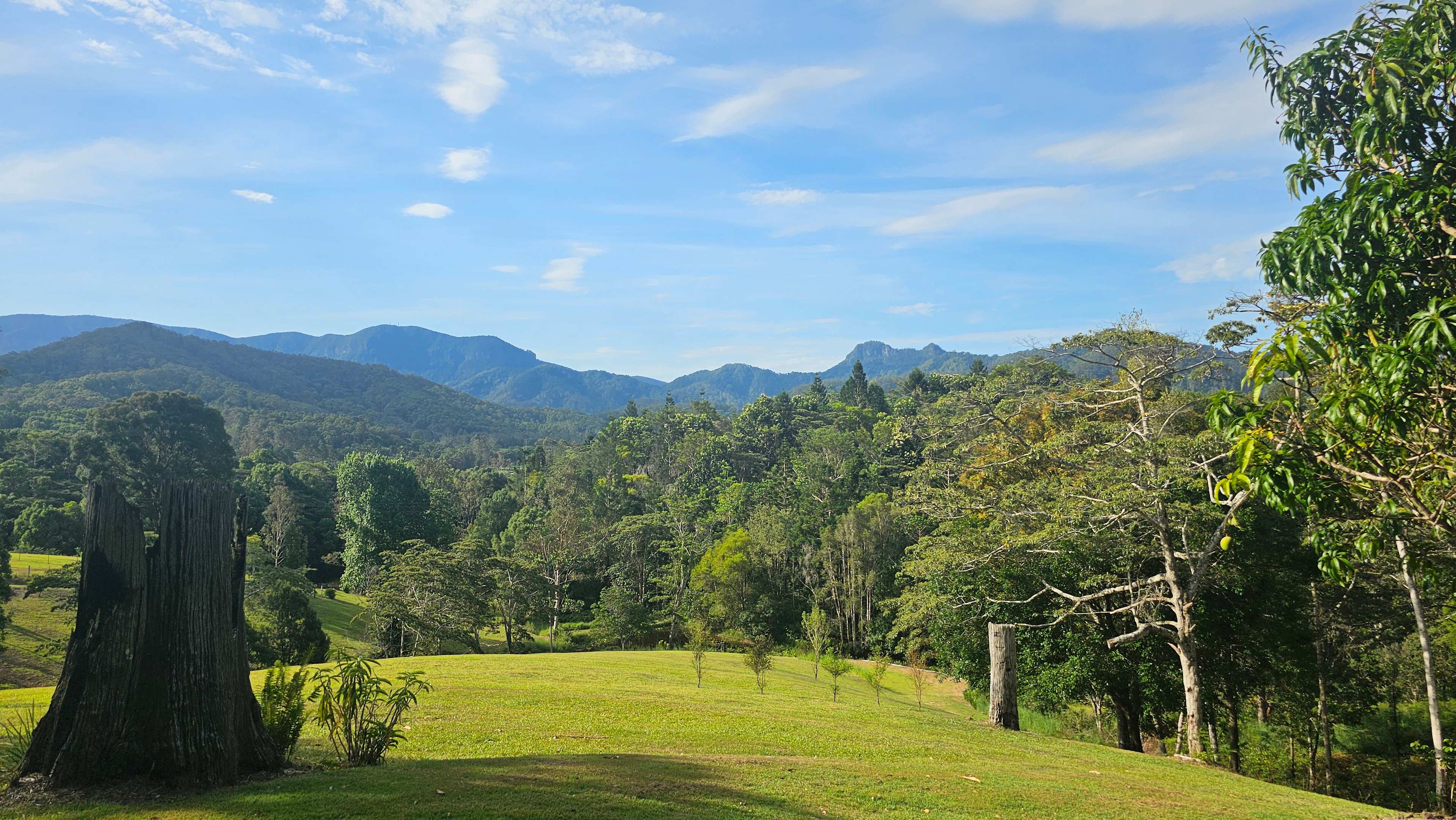 Sarah’s Farm🕊️ 4wd only
