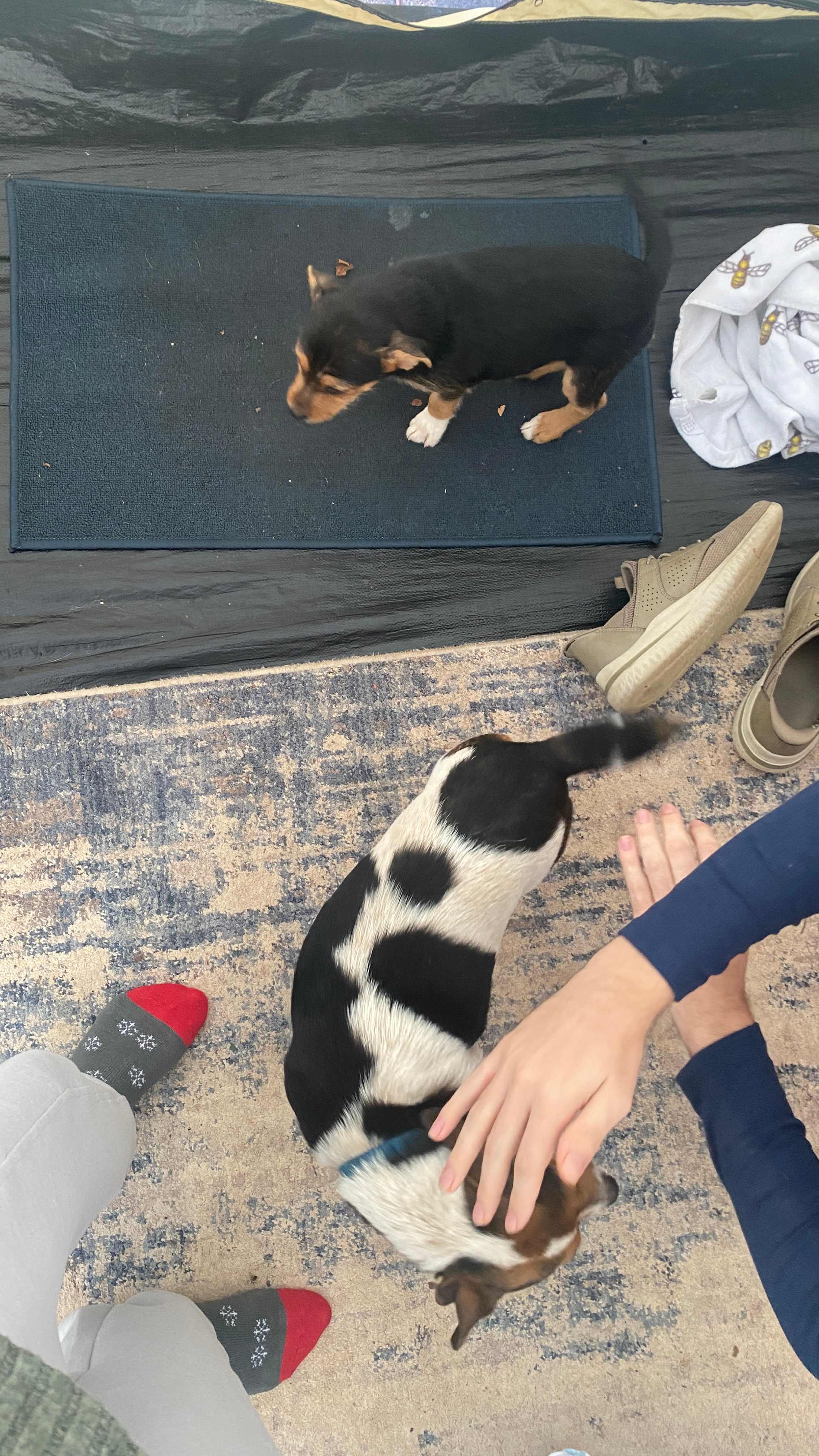 Herzen Platz (a place in the Heart)