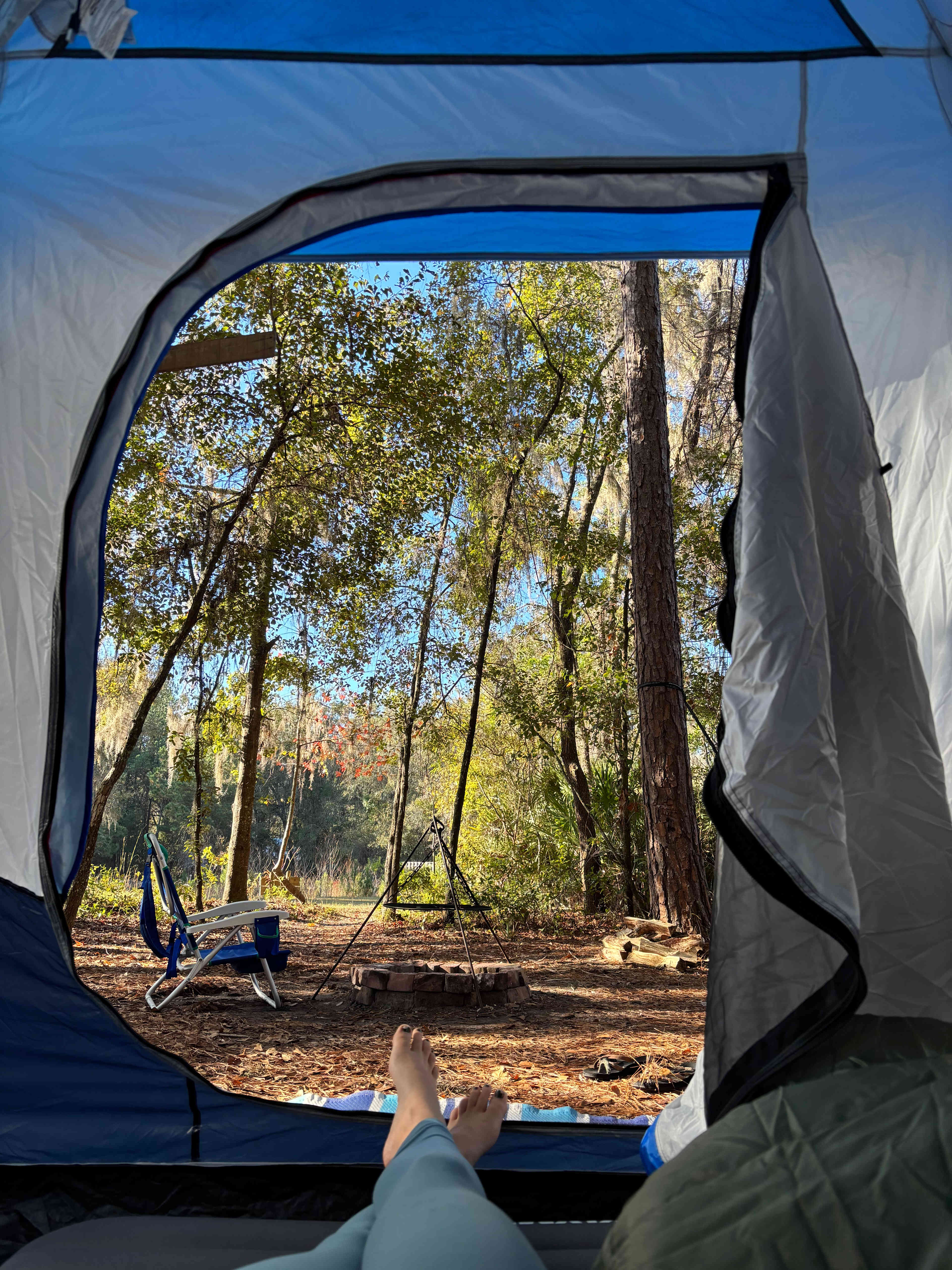 Wildflower Pond and Woodlands