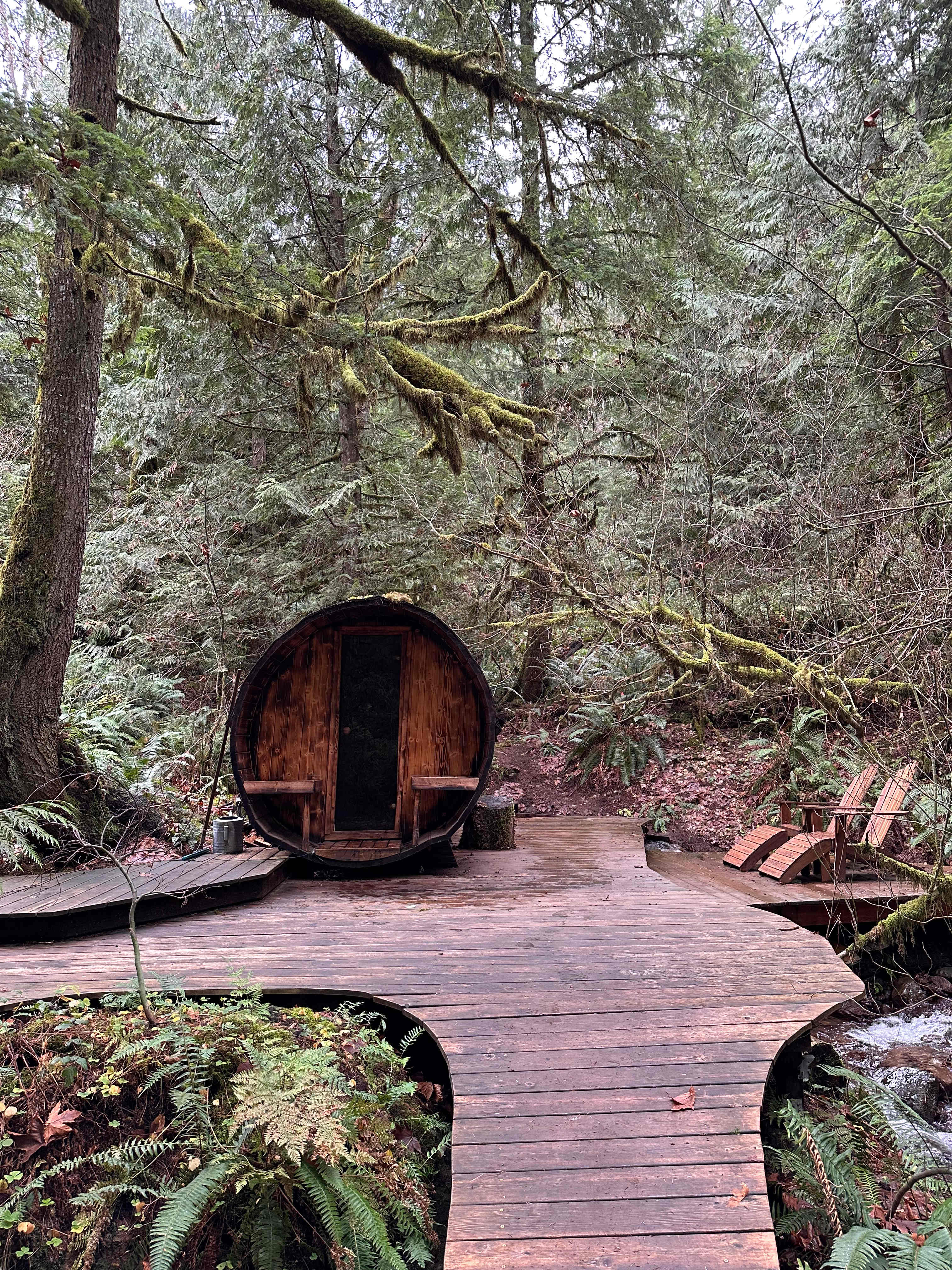 Action Sports Roamer Sites-Mt. Hood