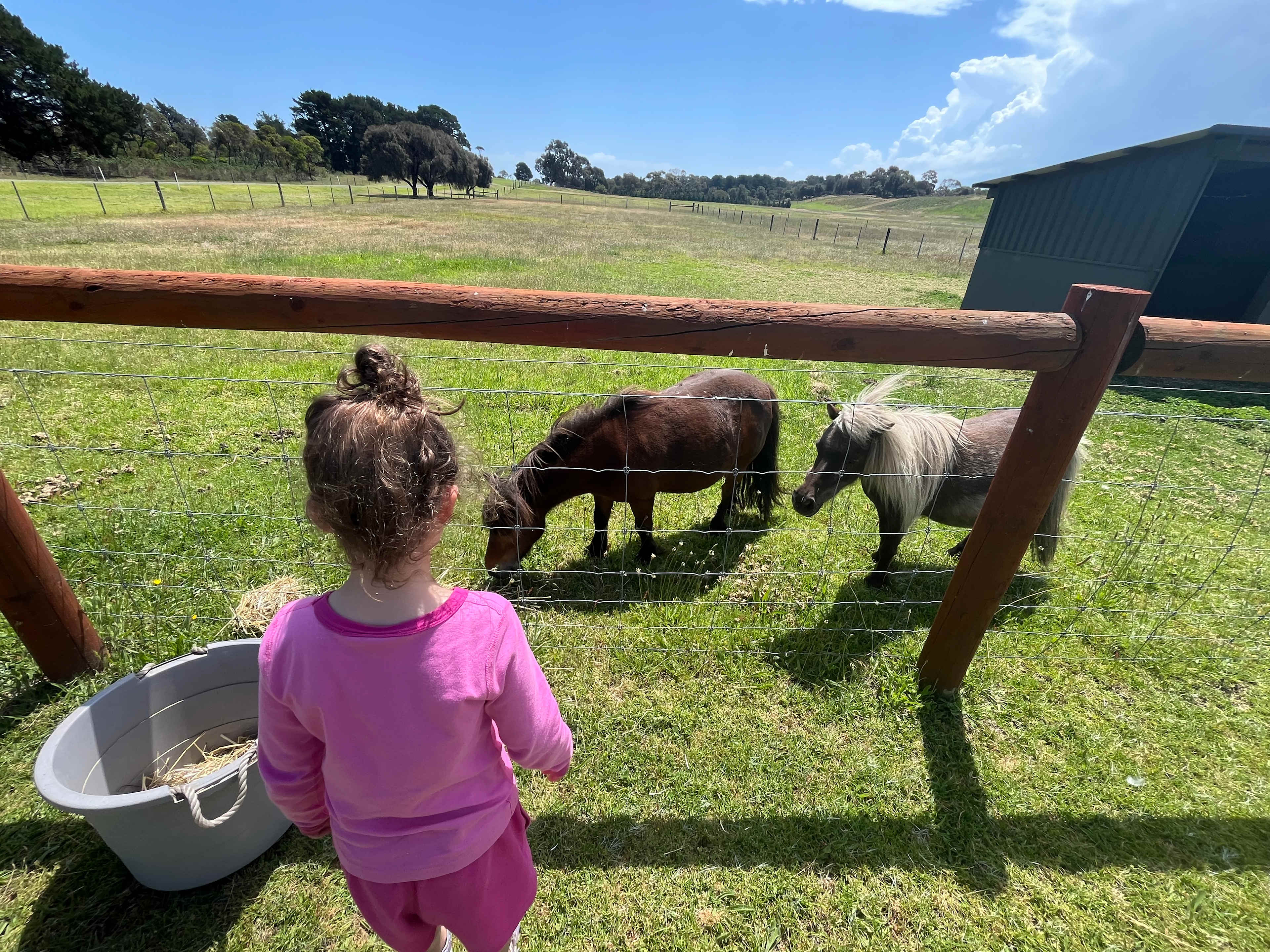 Shacks at Kardella Park