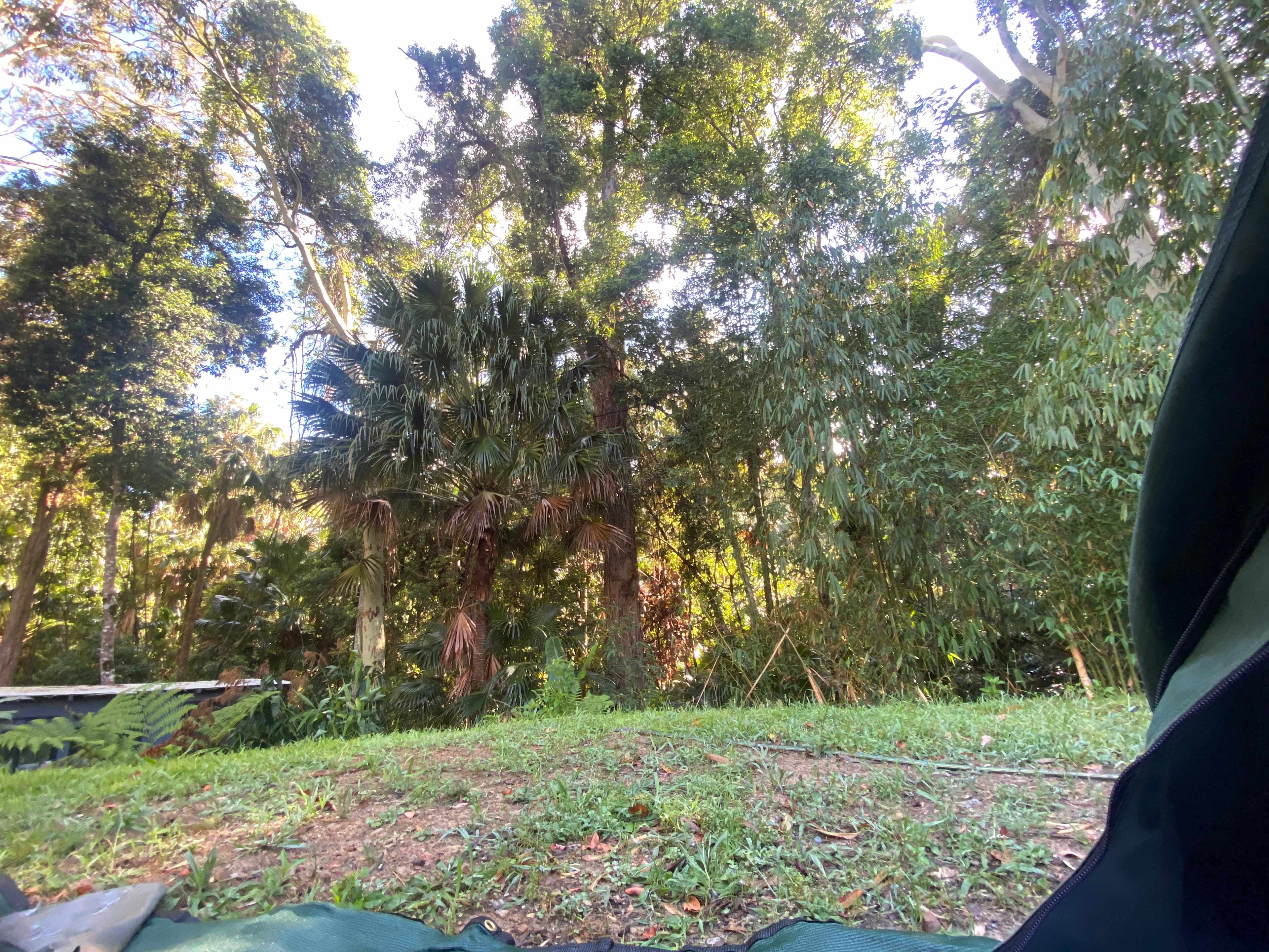 Land By Rainforest Near Lake