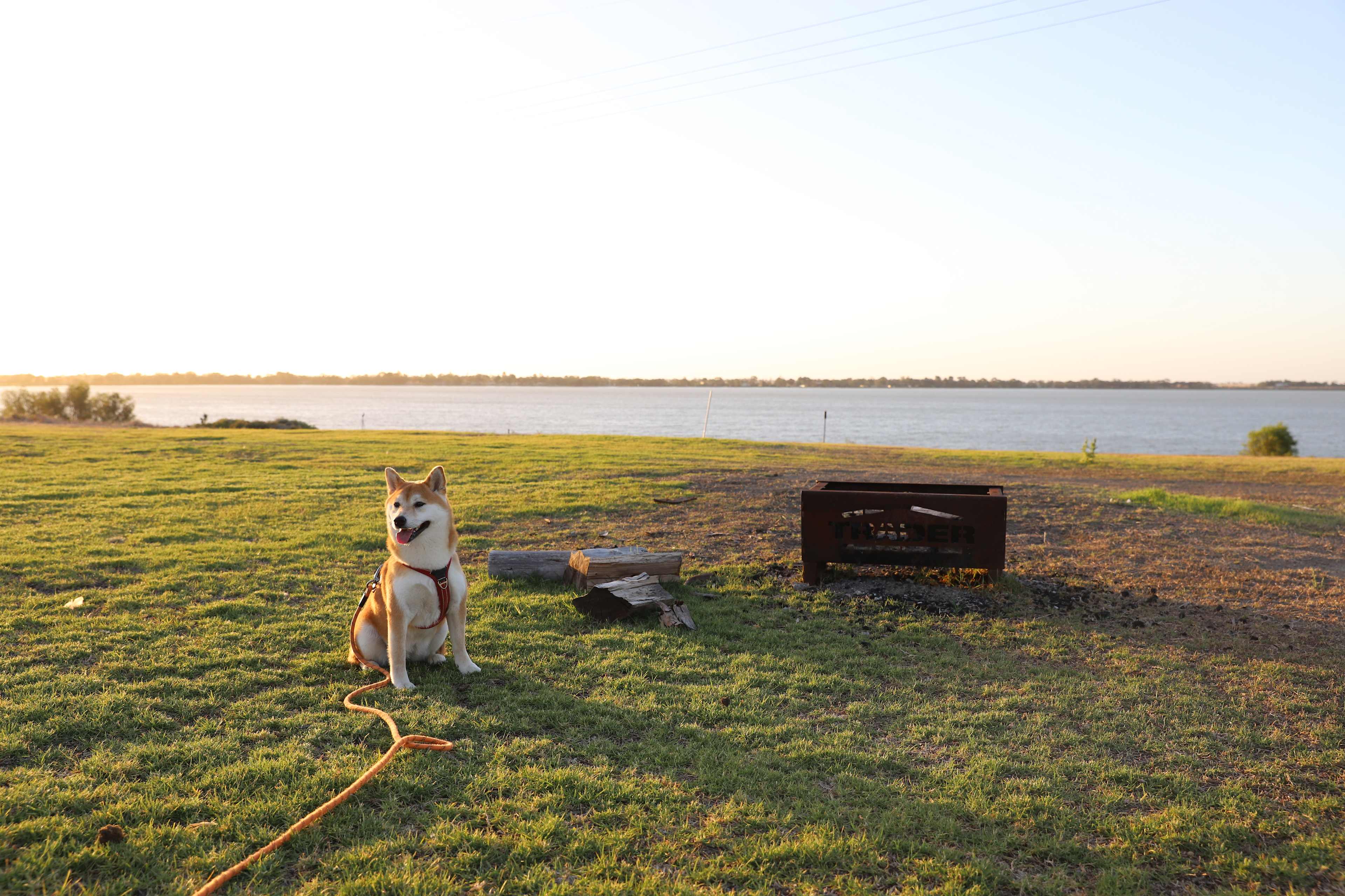 Williams Hill Lake Charm