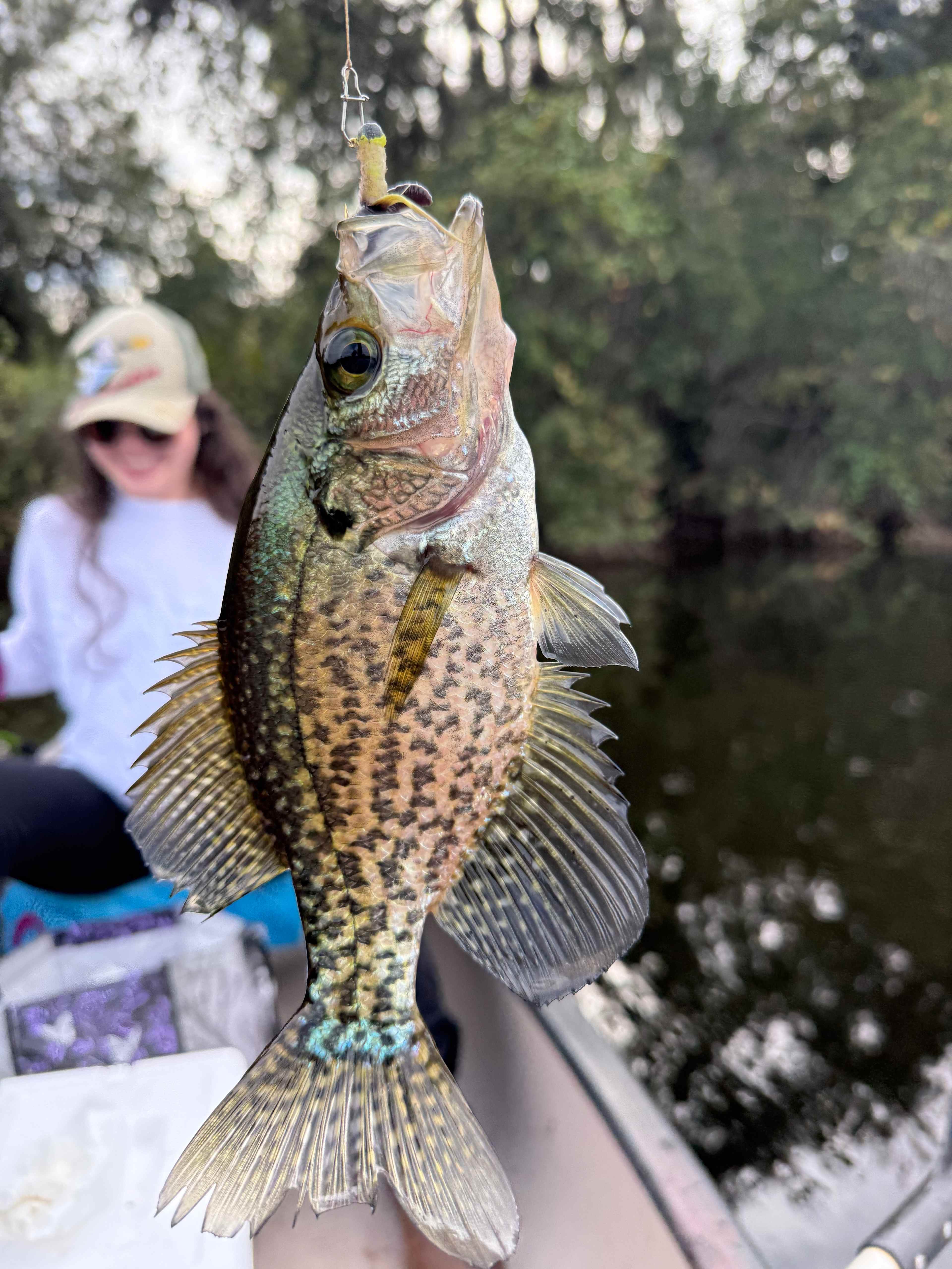 Lakeside Tranquility Camp