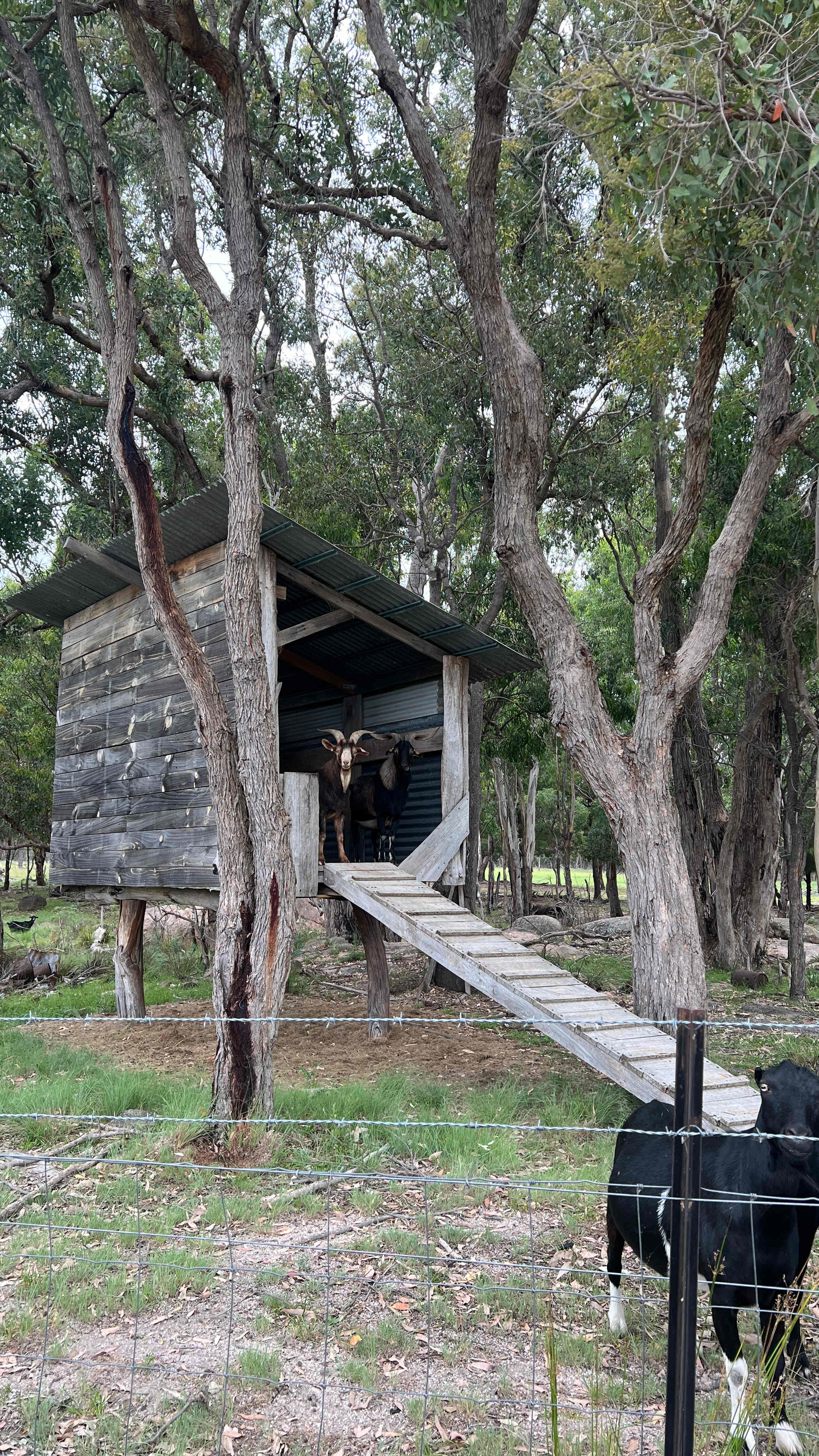 Guffy Acres Off-Grid Farm