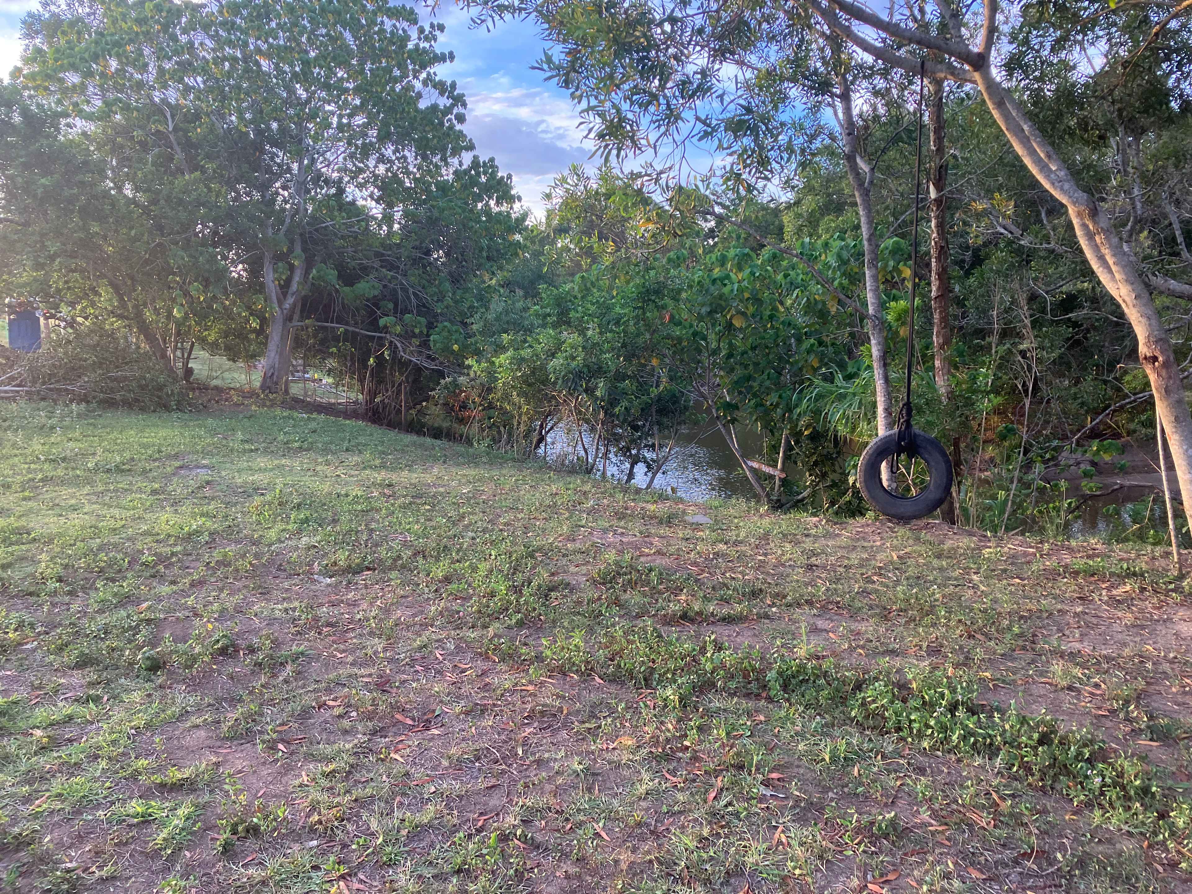 Tyre swing for kids! 