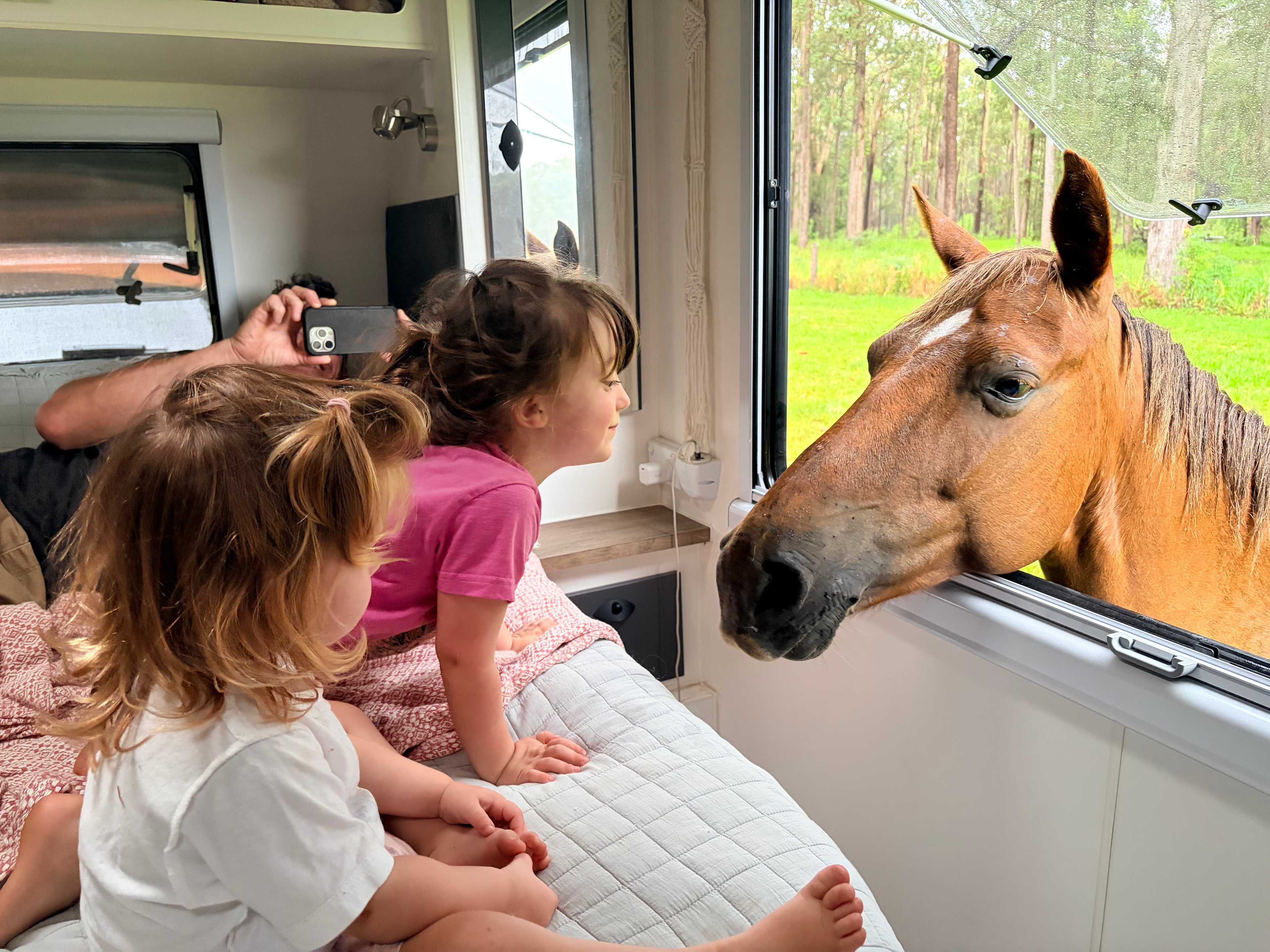 Very friendly and inquisitive animals. 