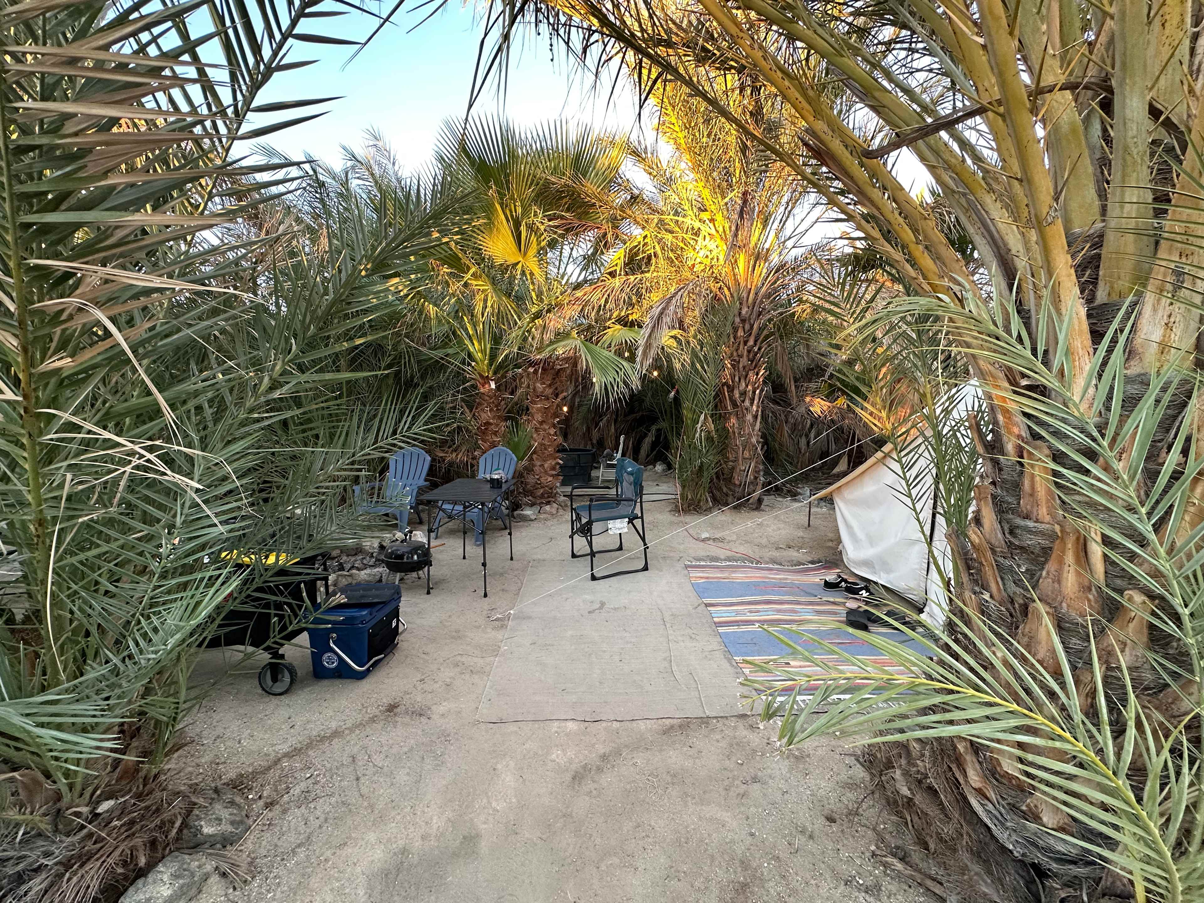 Mineral Spring Date Farm