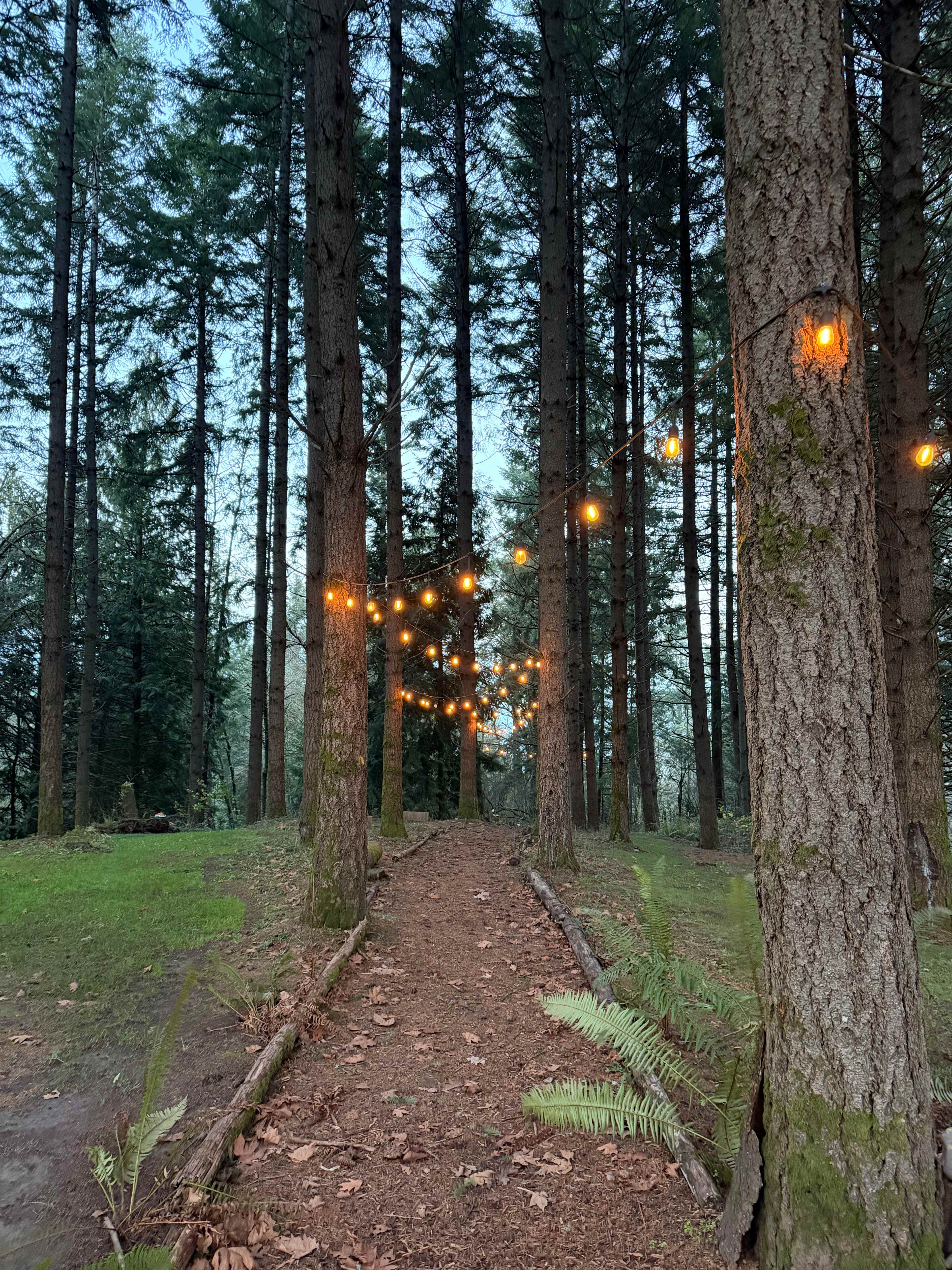 Akitaaru Forest Camp