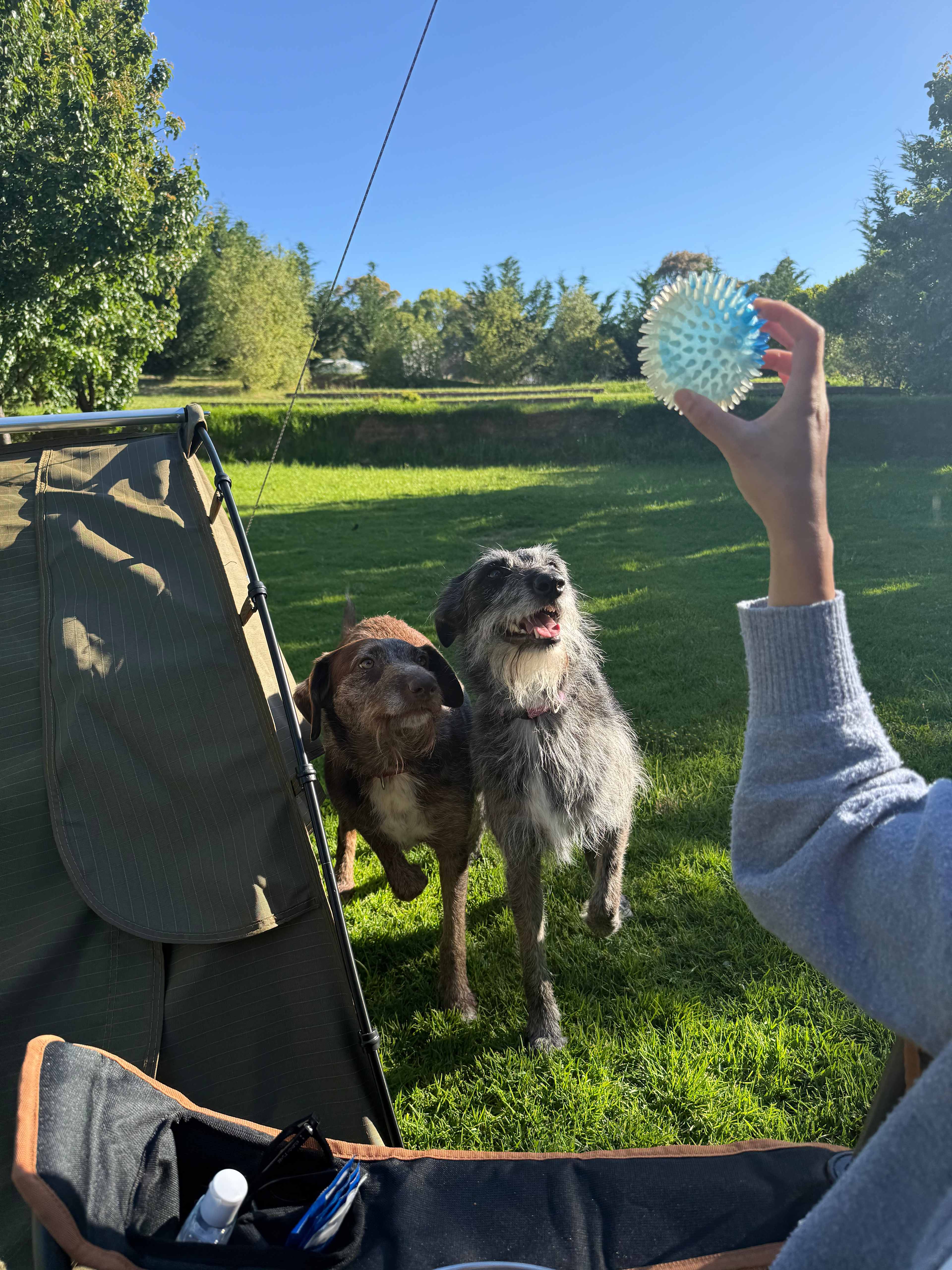 Stone’s Summertown Cherry Farm