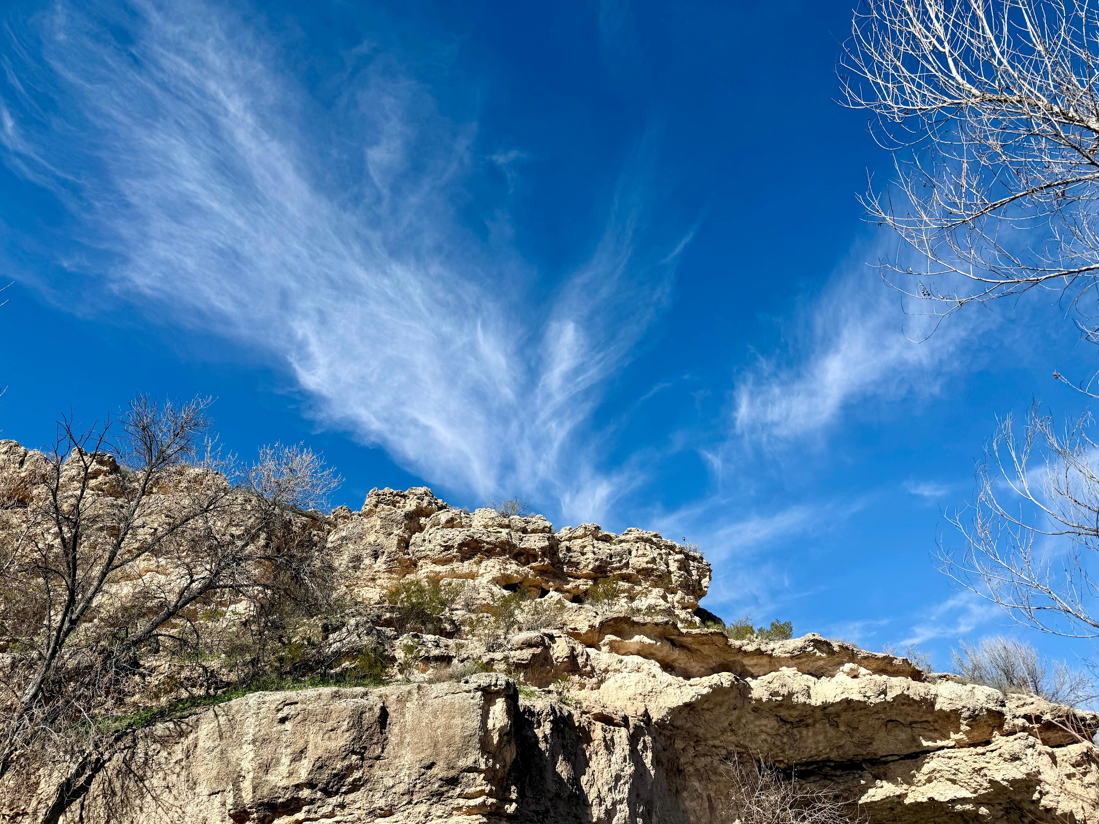 Sacred Springs-Private creek access