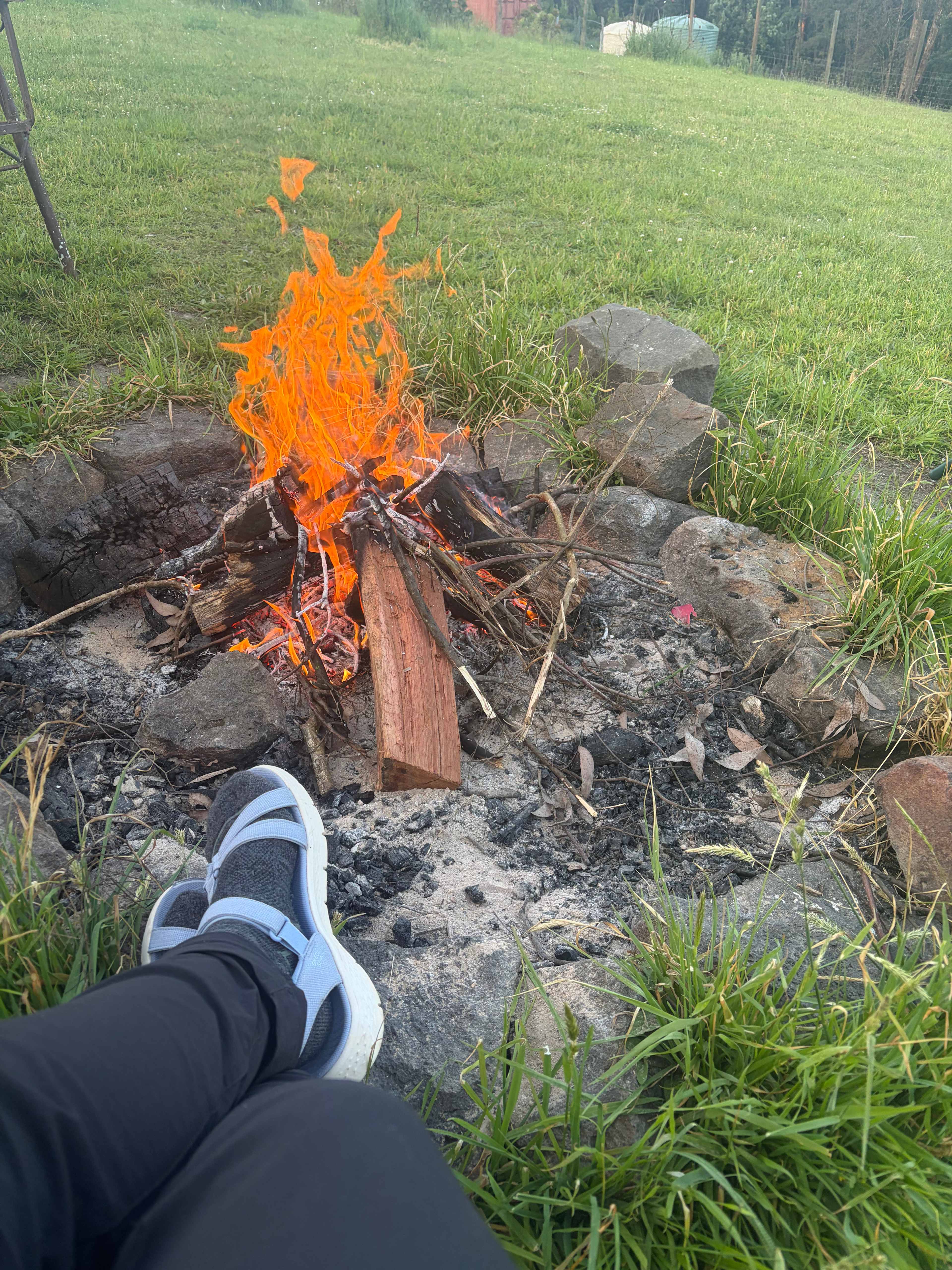 Mountain Flower Farm