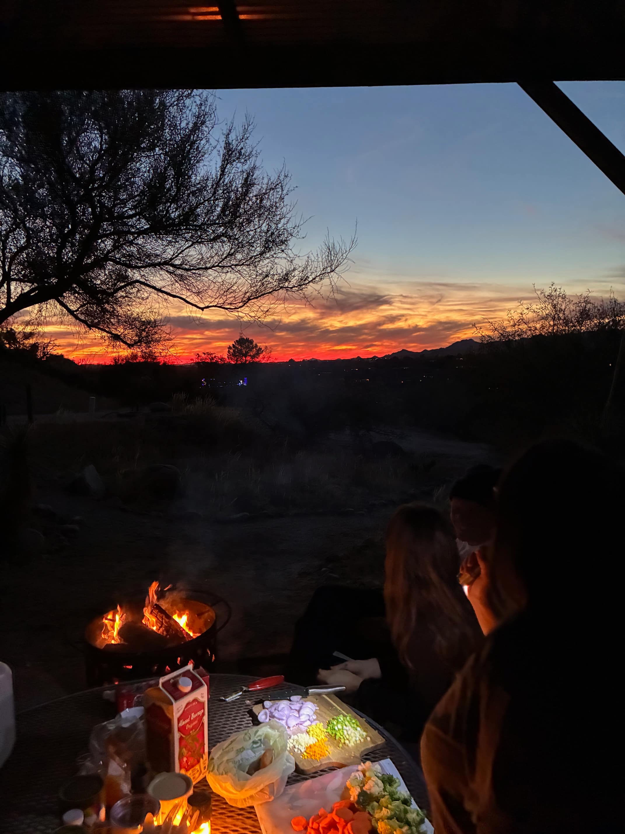 Freedom in the Catalinas