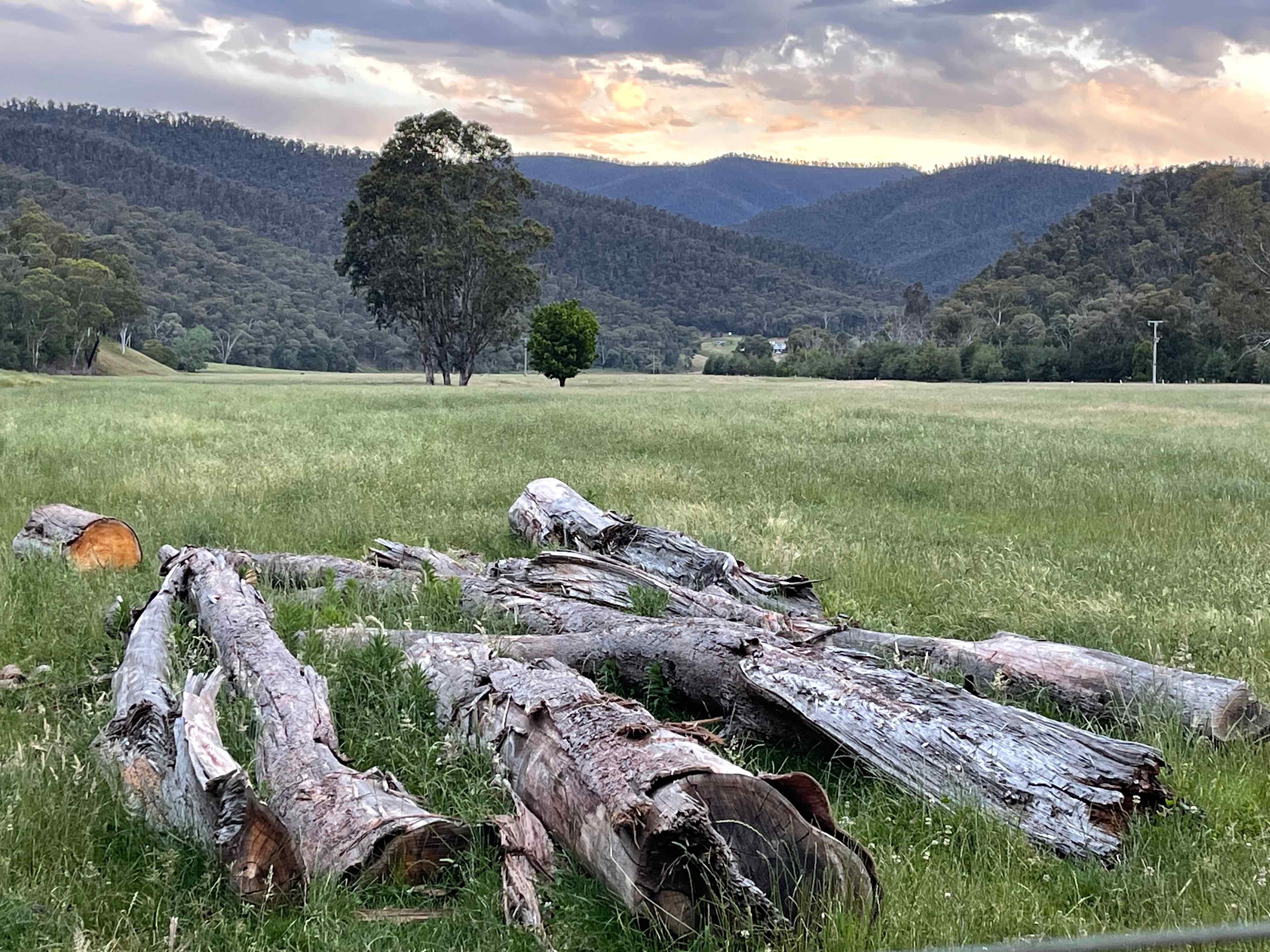 Nariel Creek Farm Stay