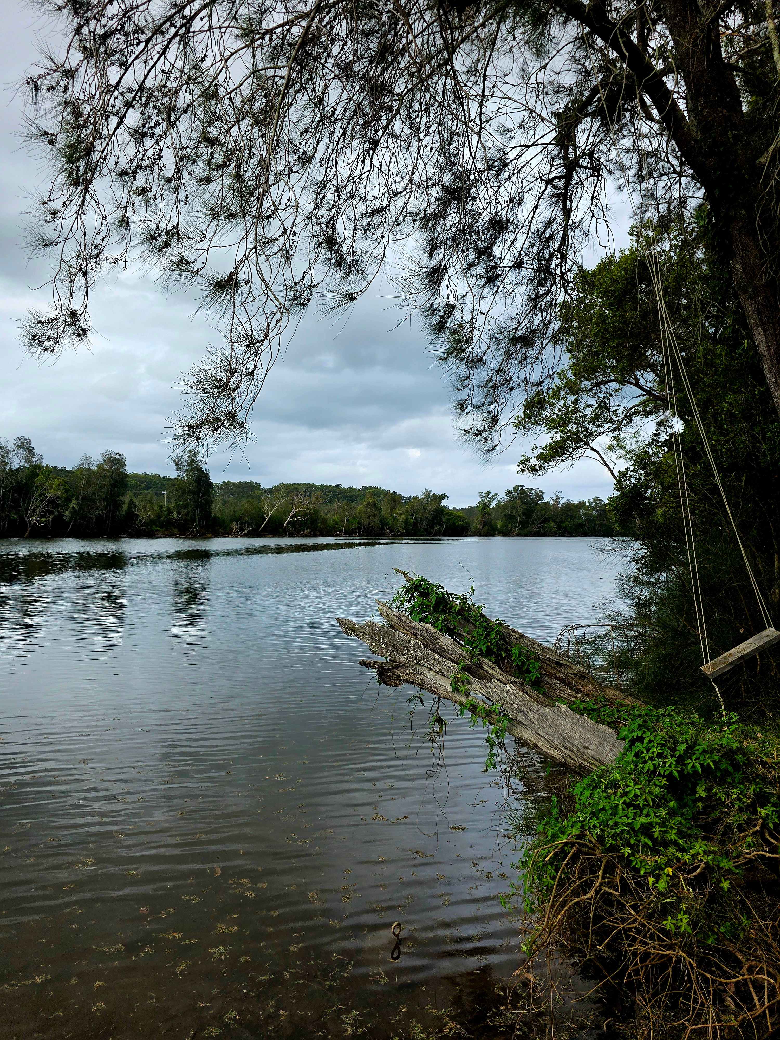 Taking It Easy Acres