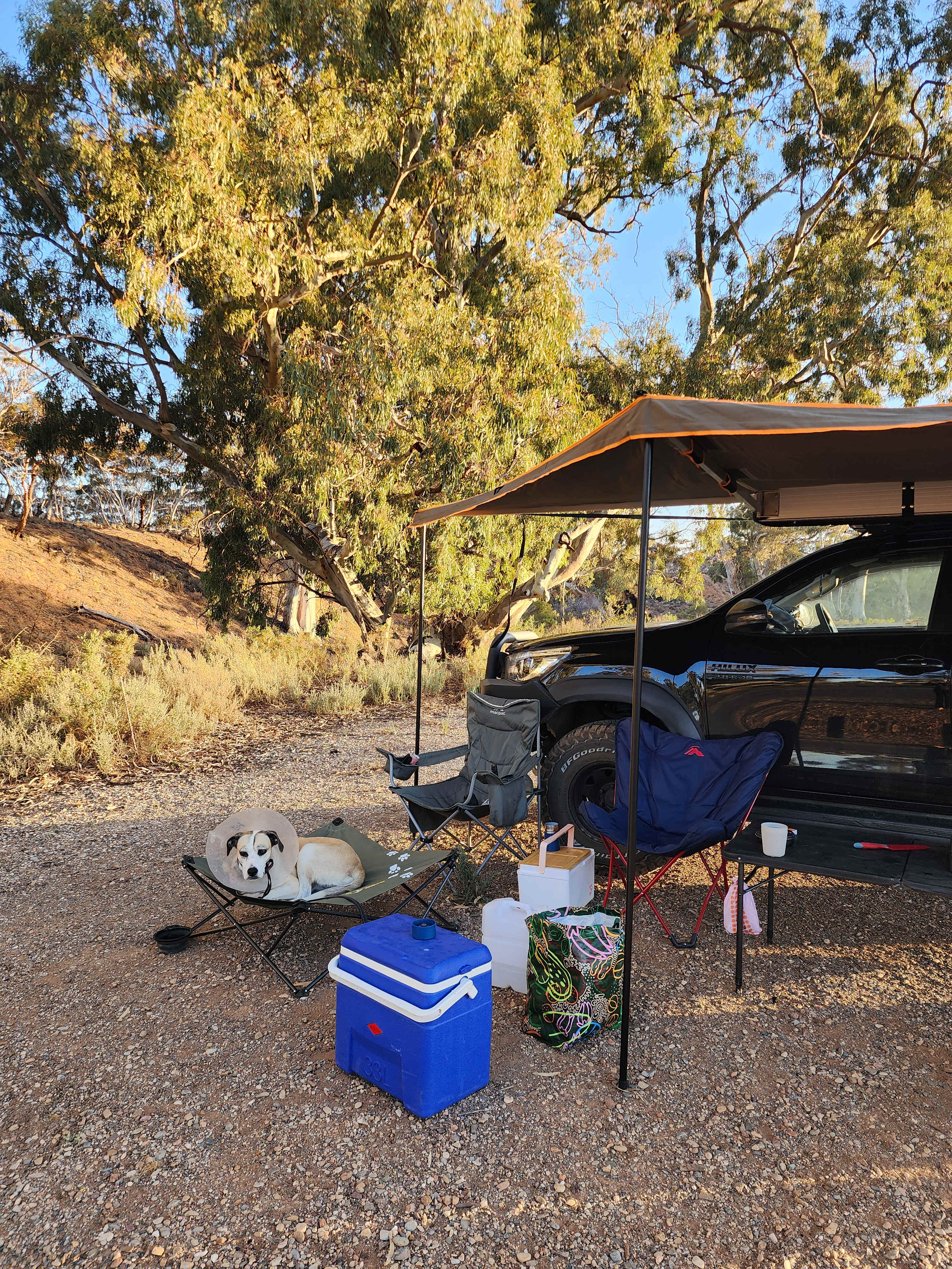 Burra Creek Camping