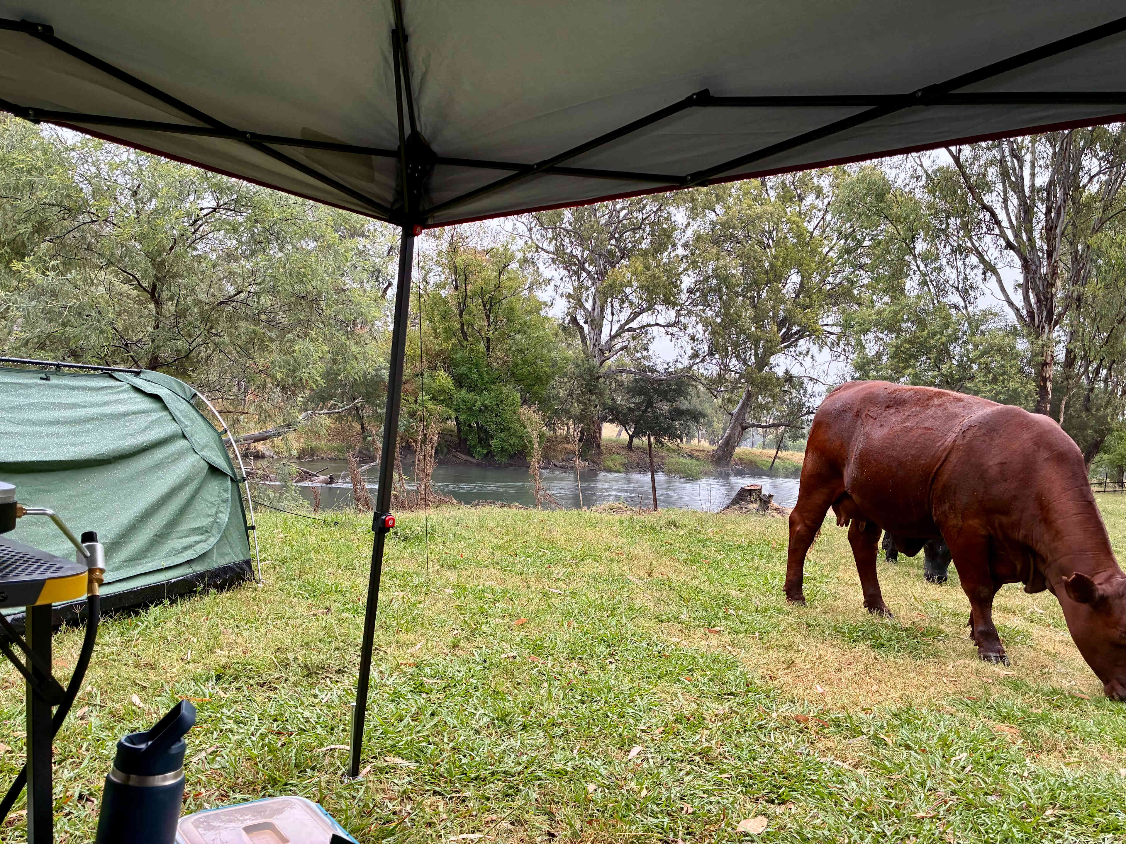 Bahwidgee on Tumut River