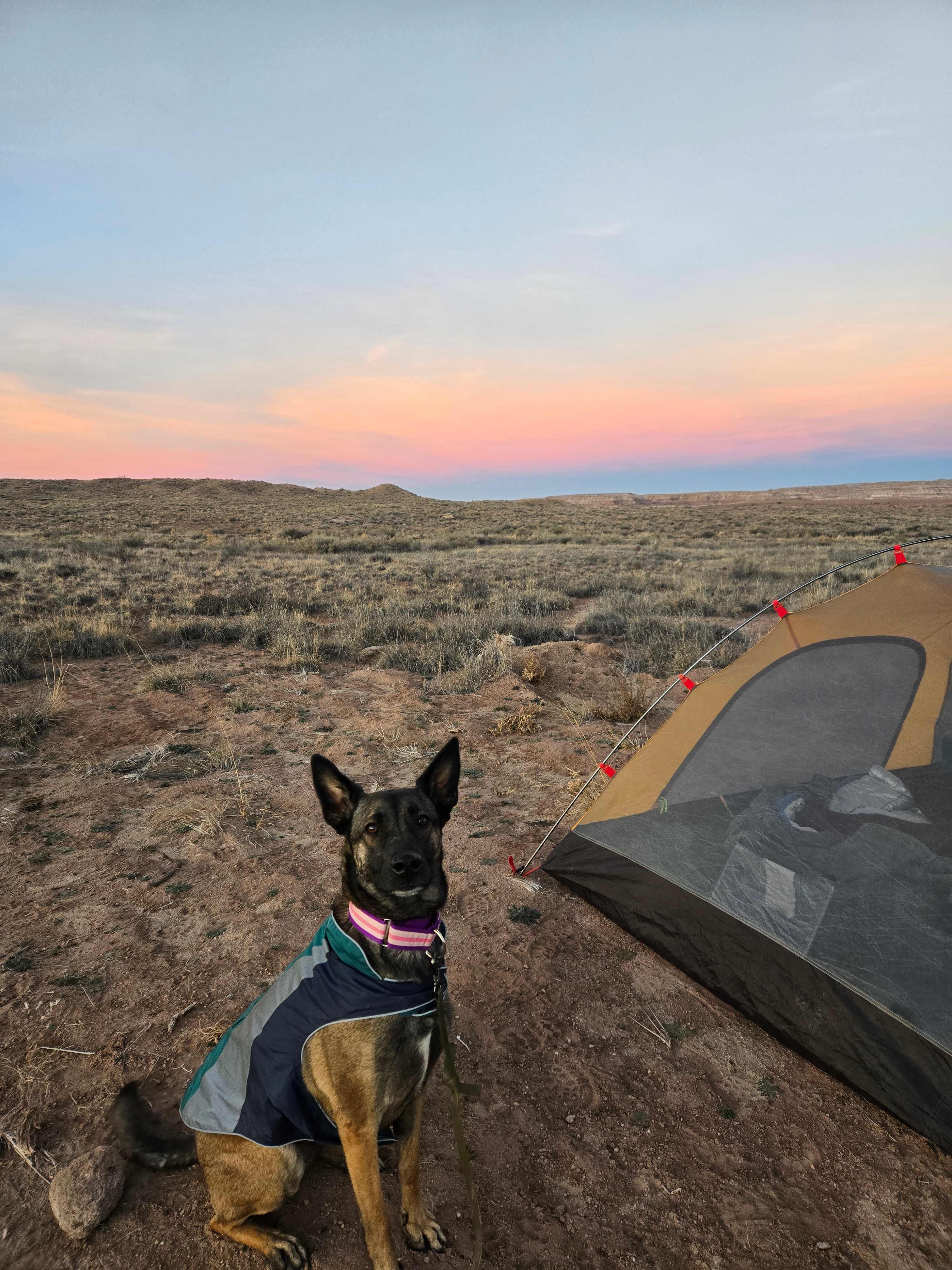 Campfire Adventure Ranch