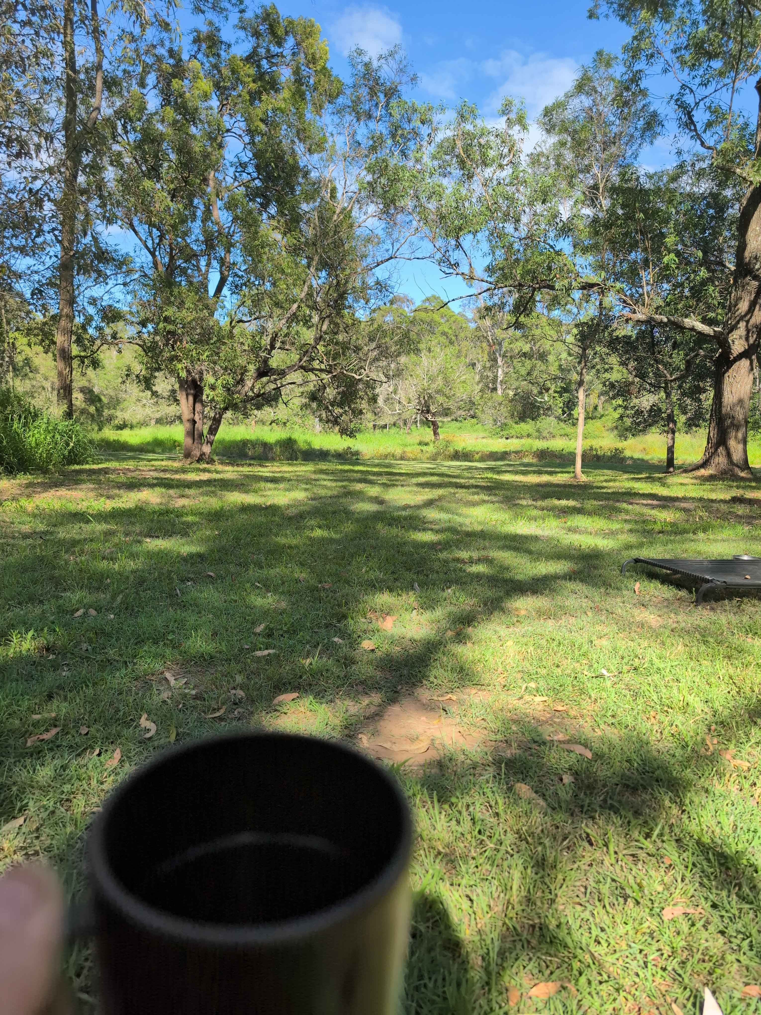 Friday Morning Vibes 🌞