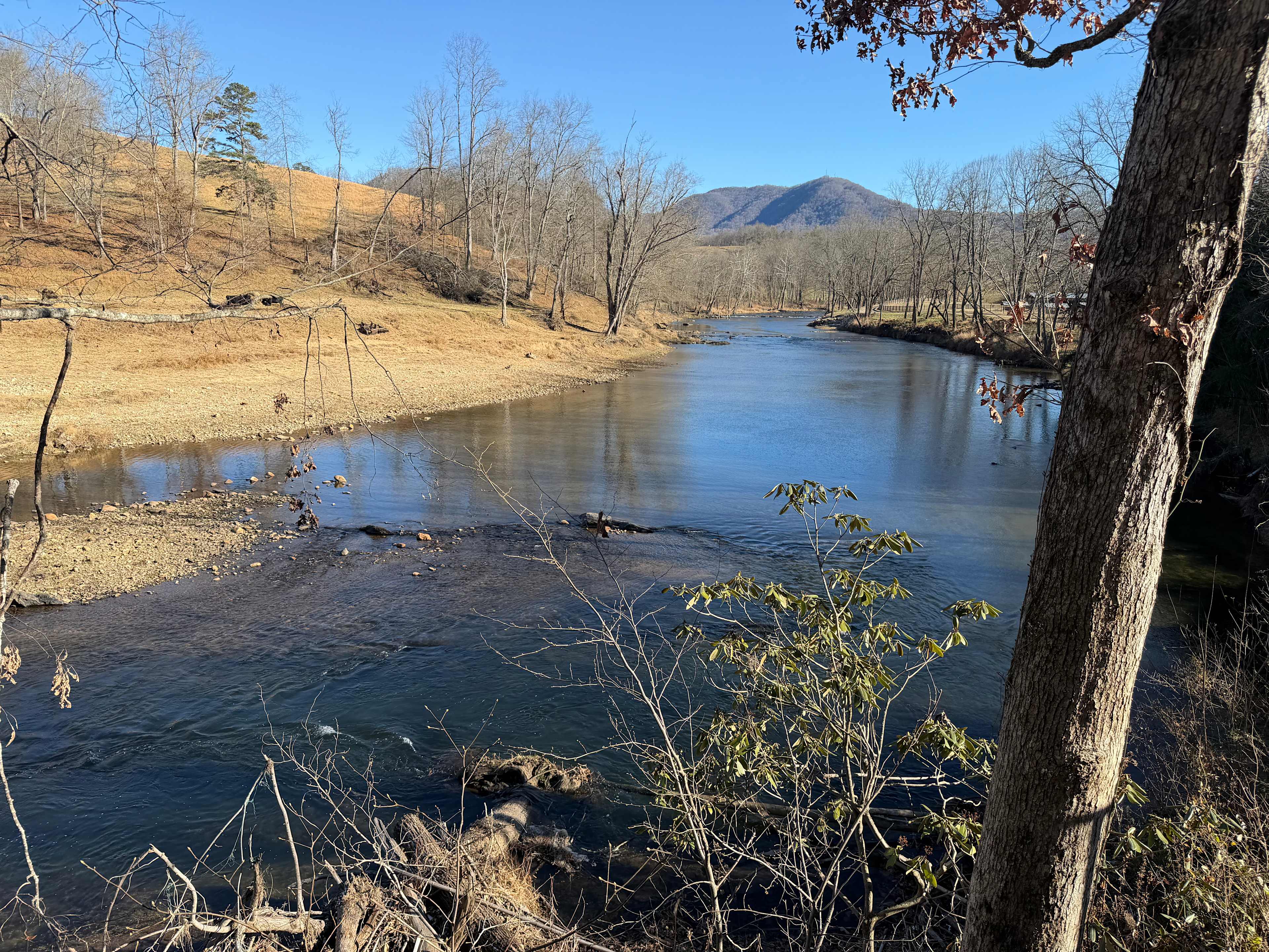 Looking up the river 