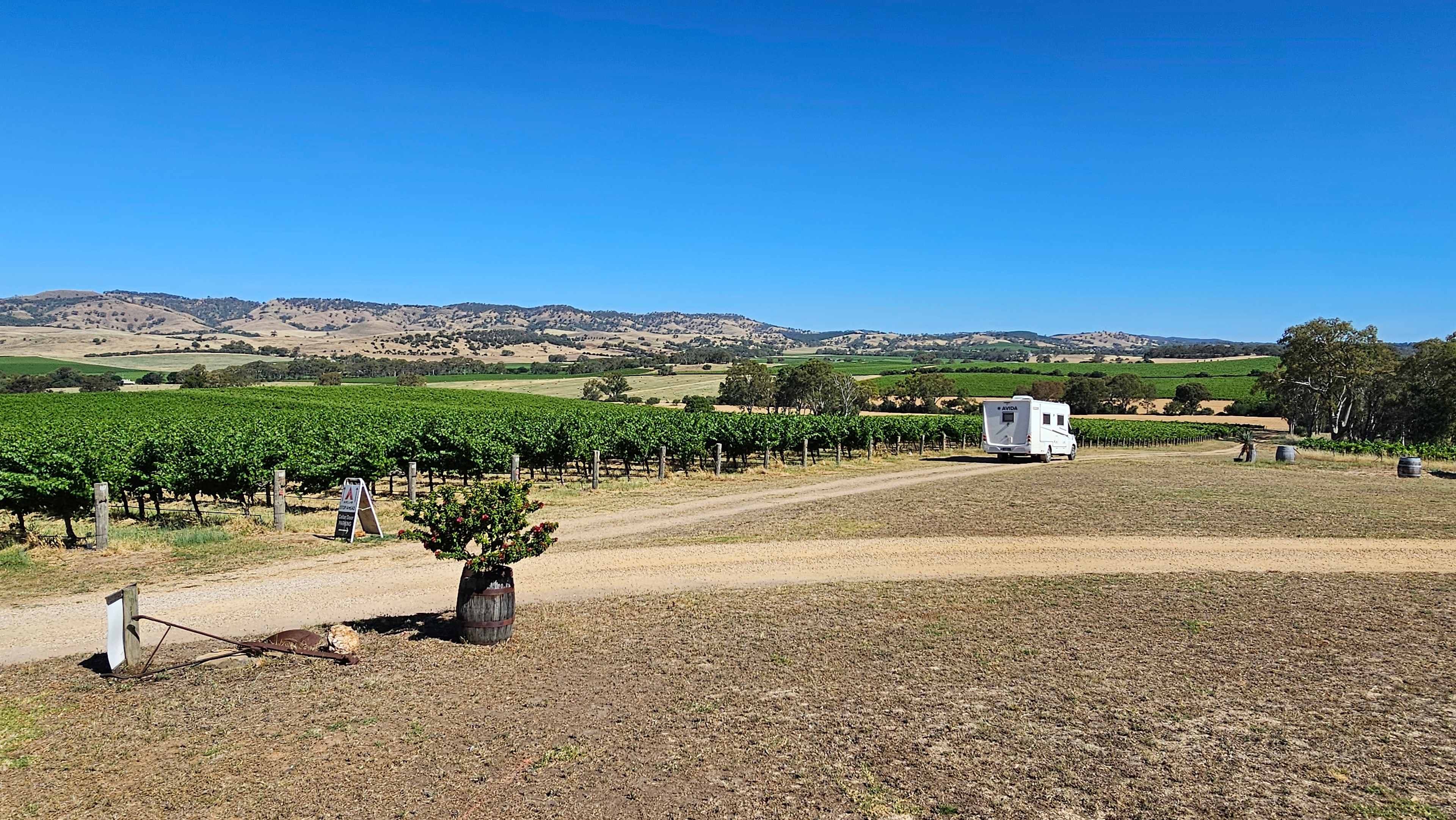 God’s Hill Wines & Ennia Cucina