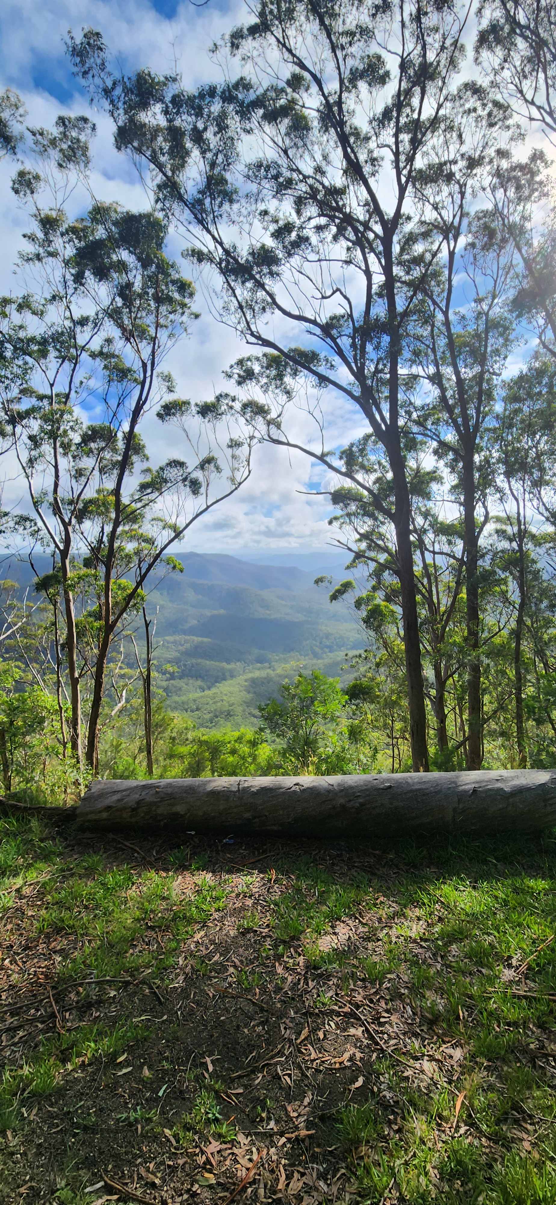 Stonepine Ridge 'where eagles fly'
