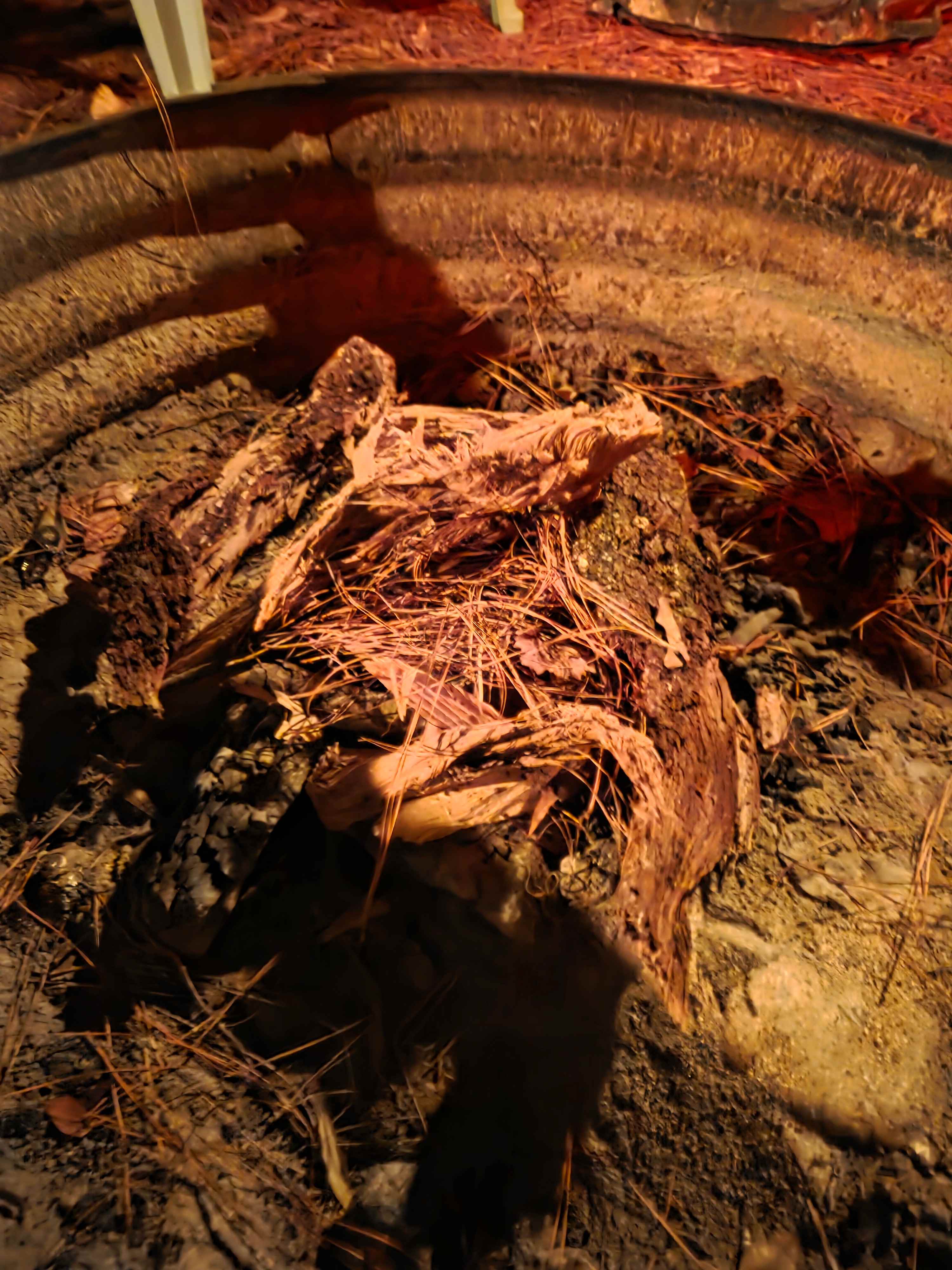 Prepared fire with tinder - thanks!