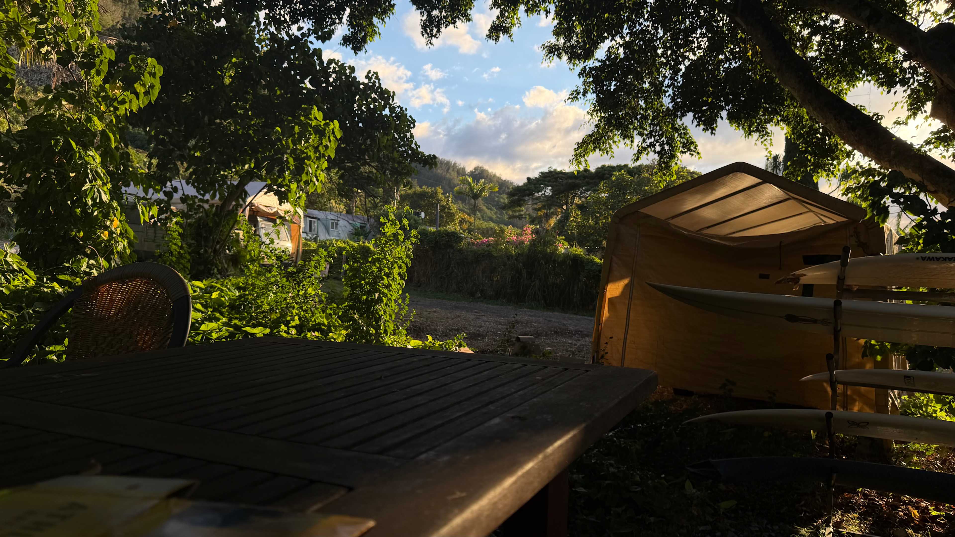 Picnic table/back deck