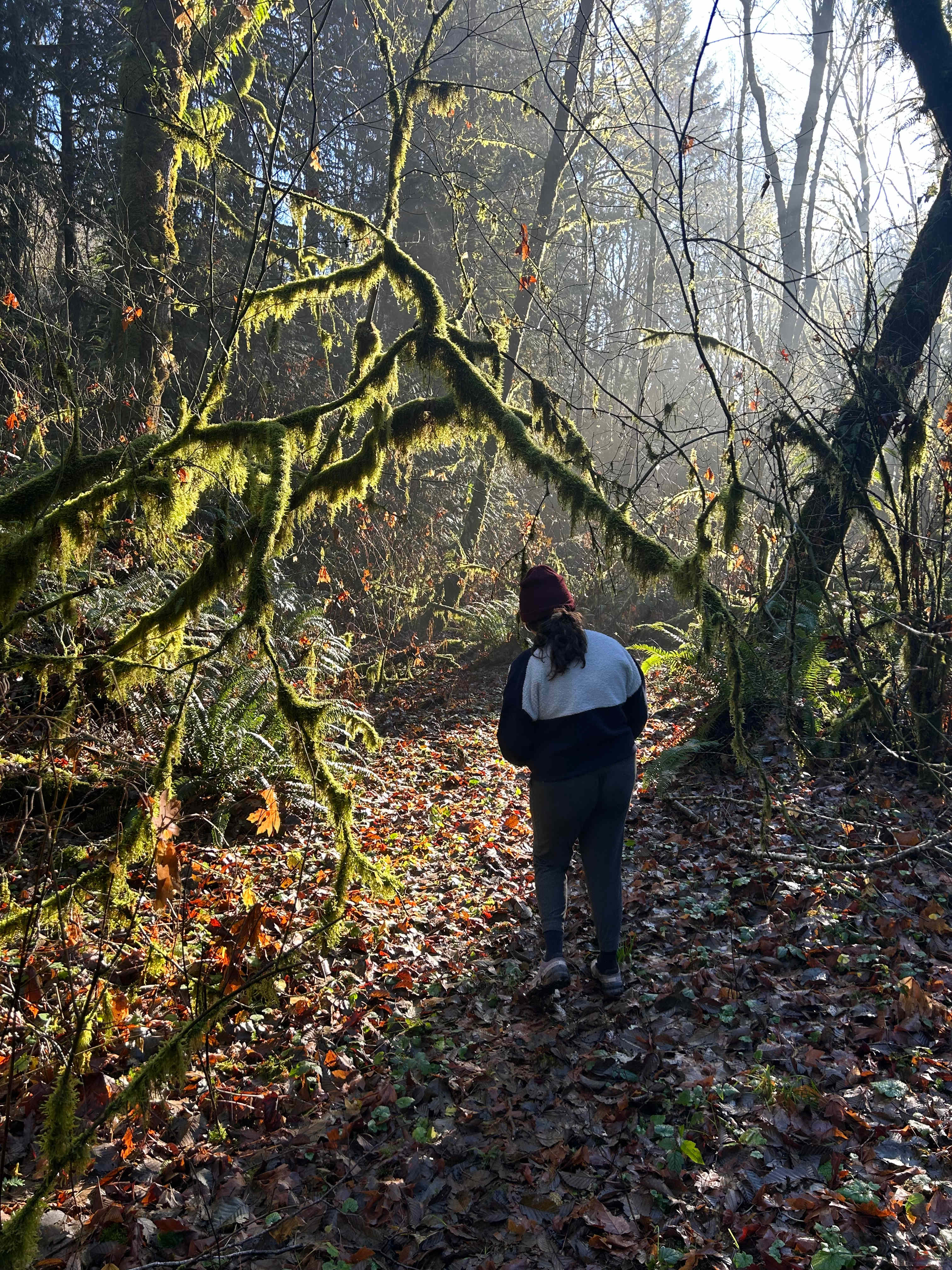 Creekside Astro-Dome