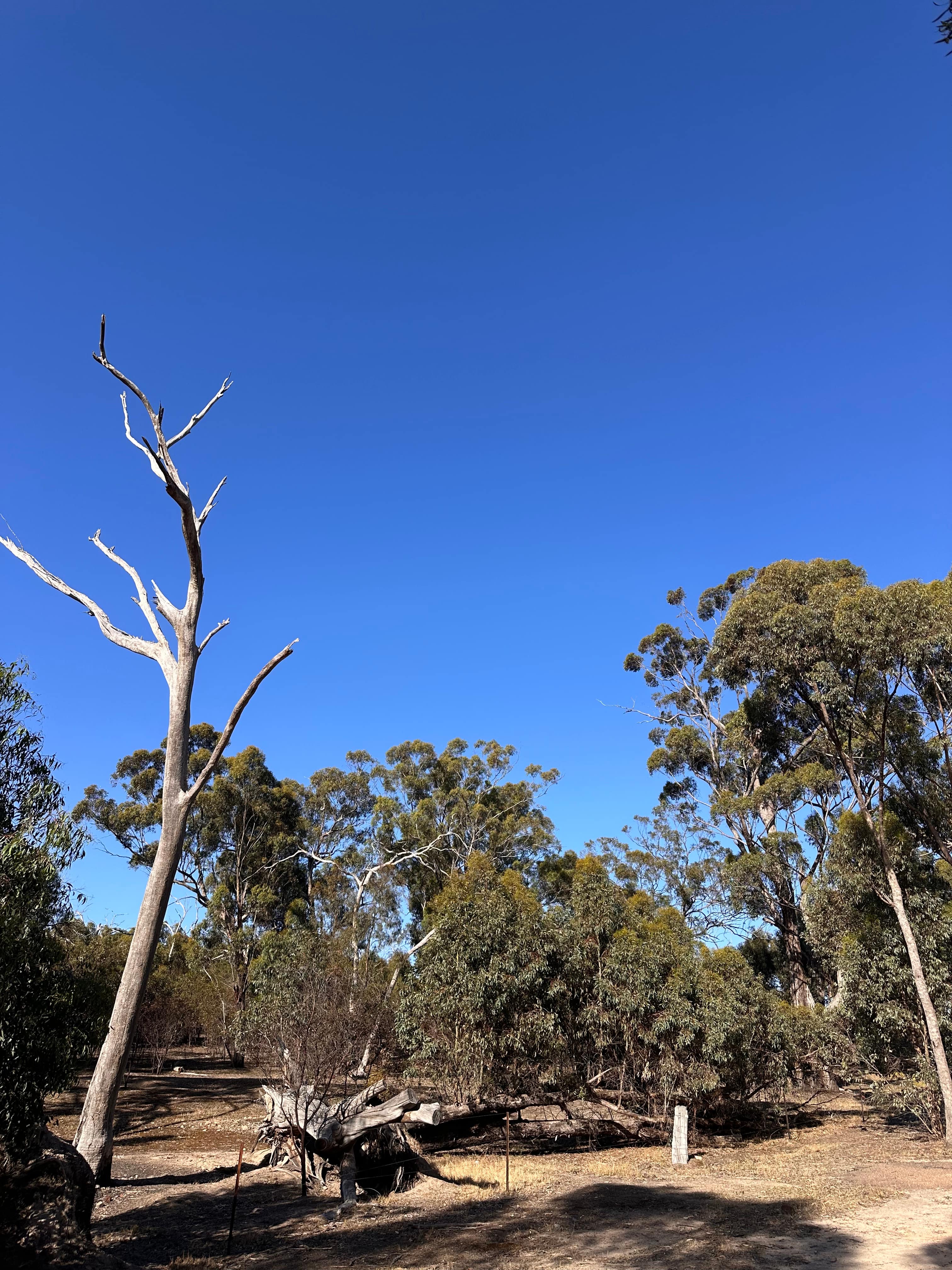 Happy Wanderer Holiday Resort