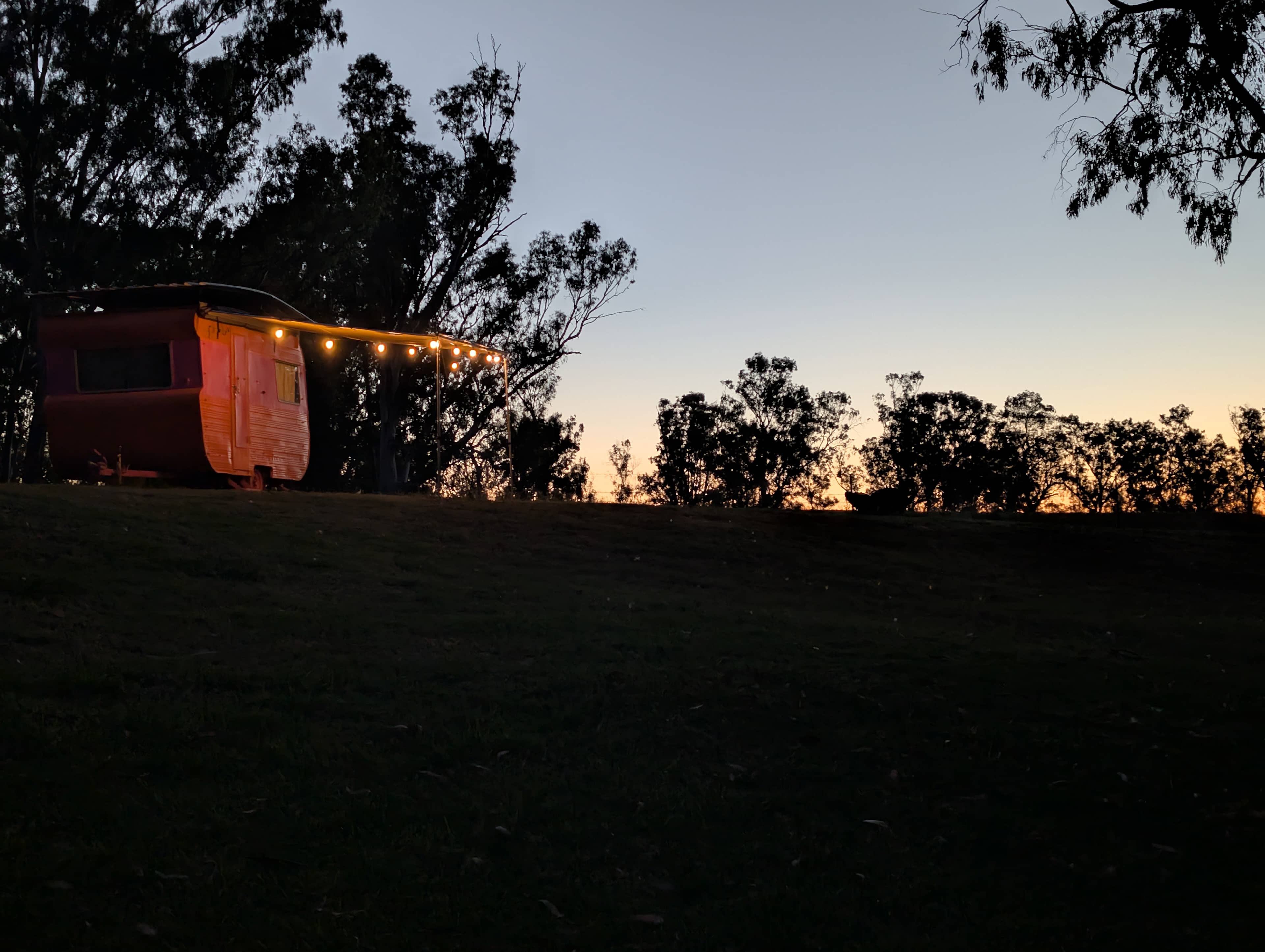 Pringy's Farm Balnagask