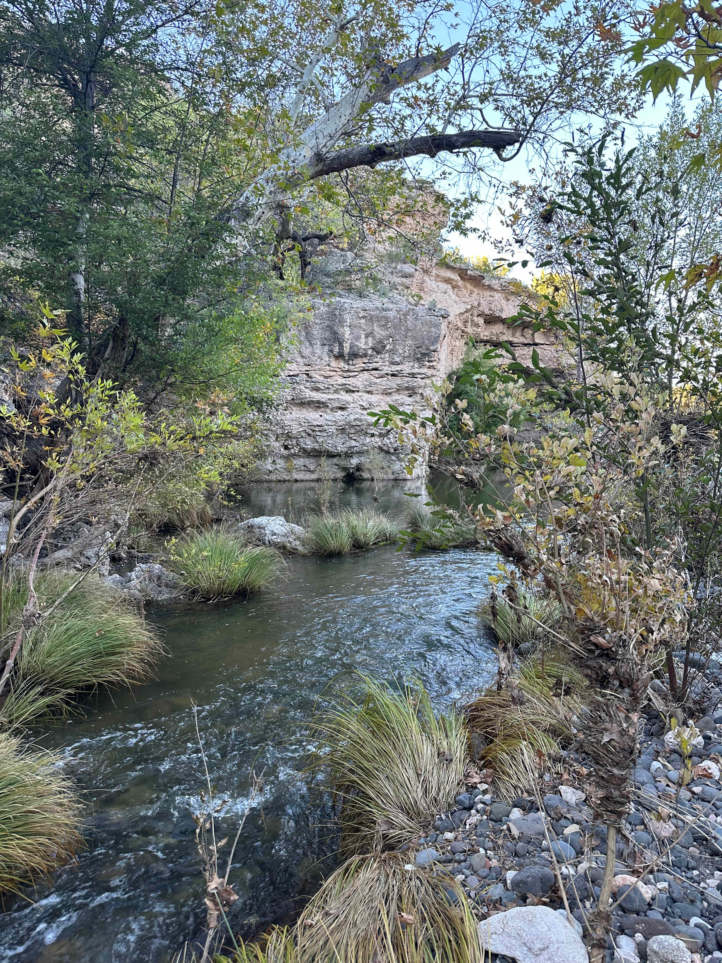 Sacred Springs-Private creek access