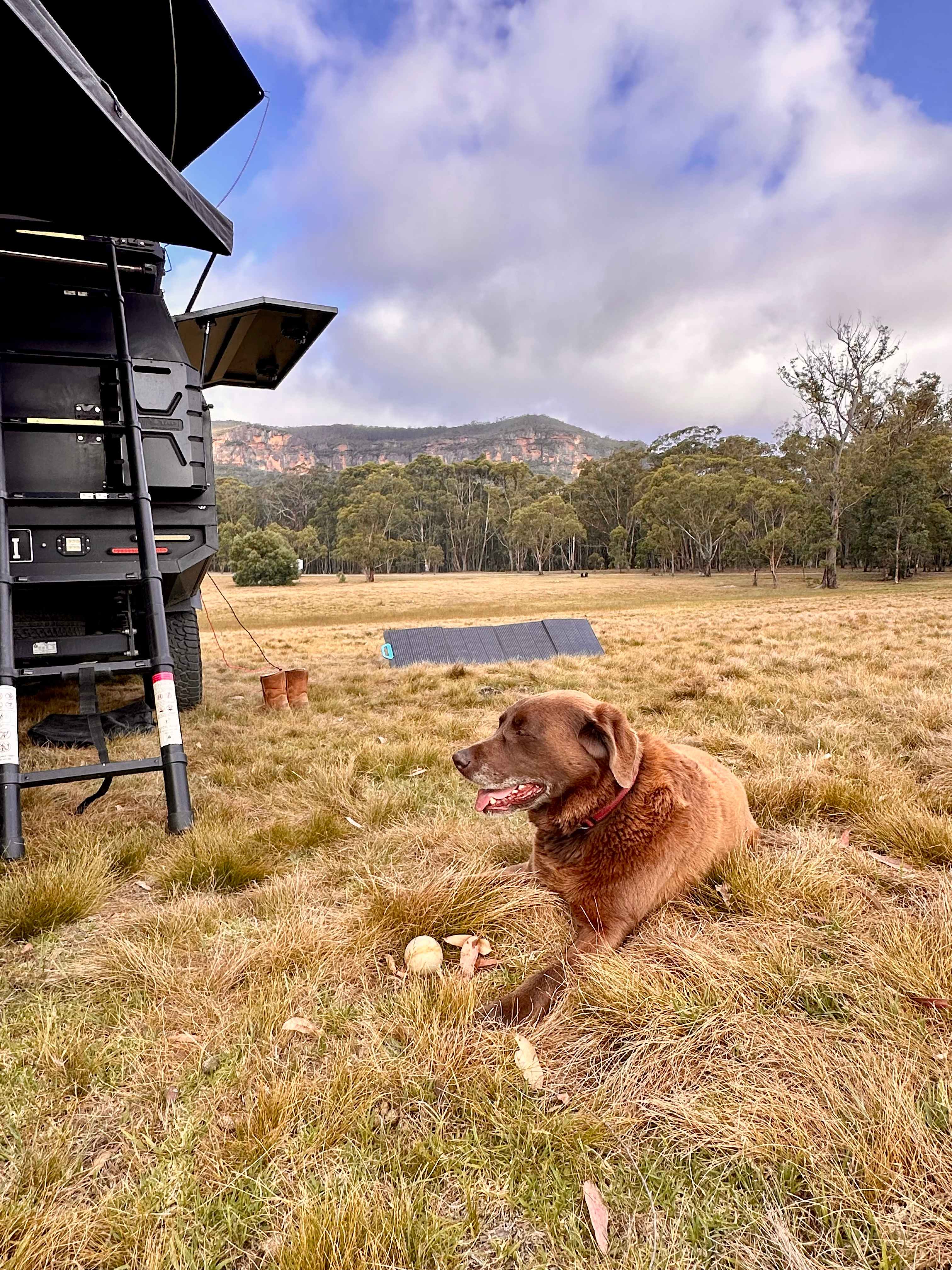 Megalong Valley Farm