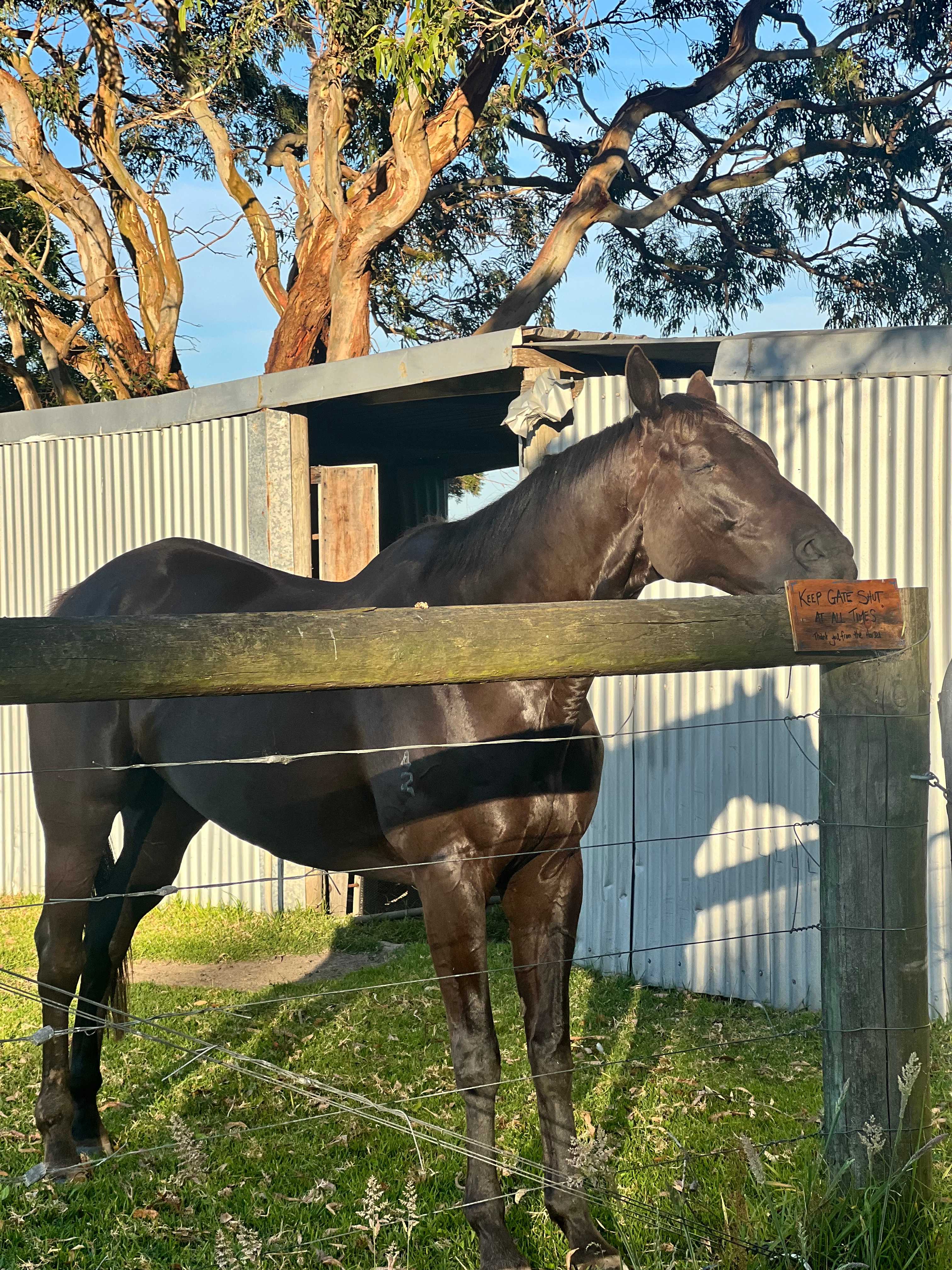 Sandy Point Farm Camp