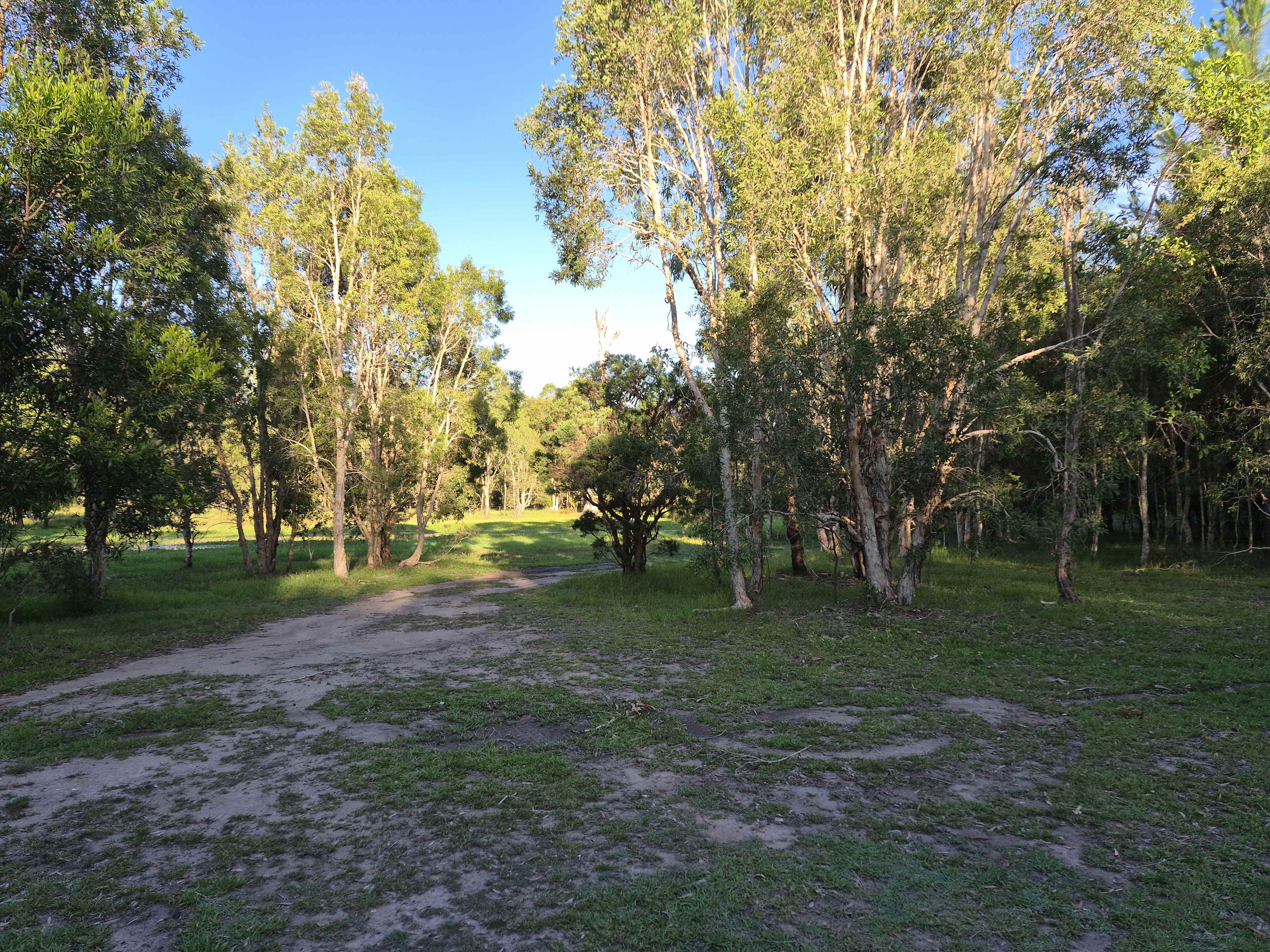 Warrego Warmblood Stud