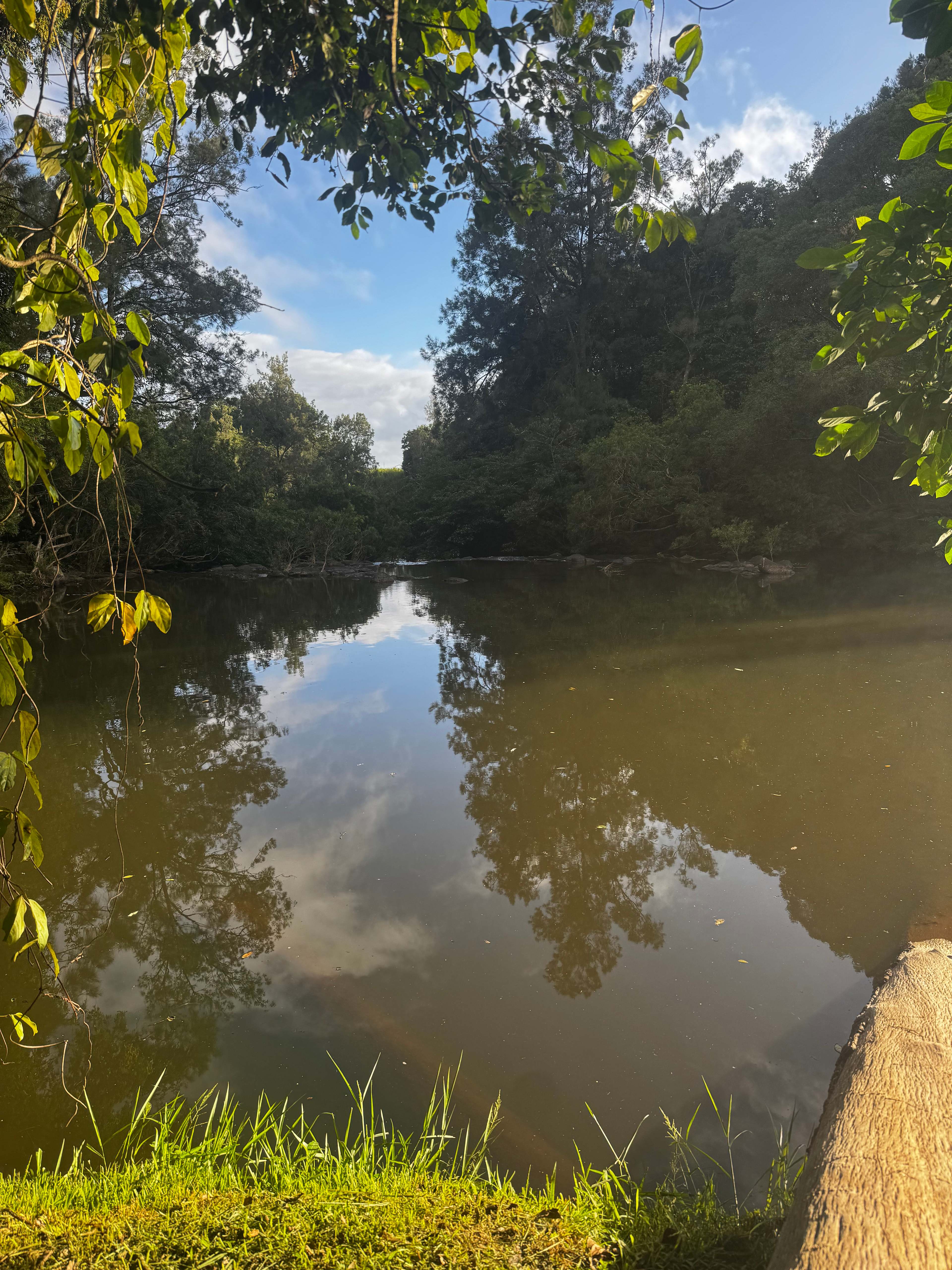 Barron River Retreat