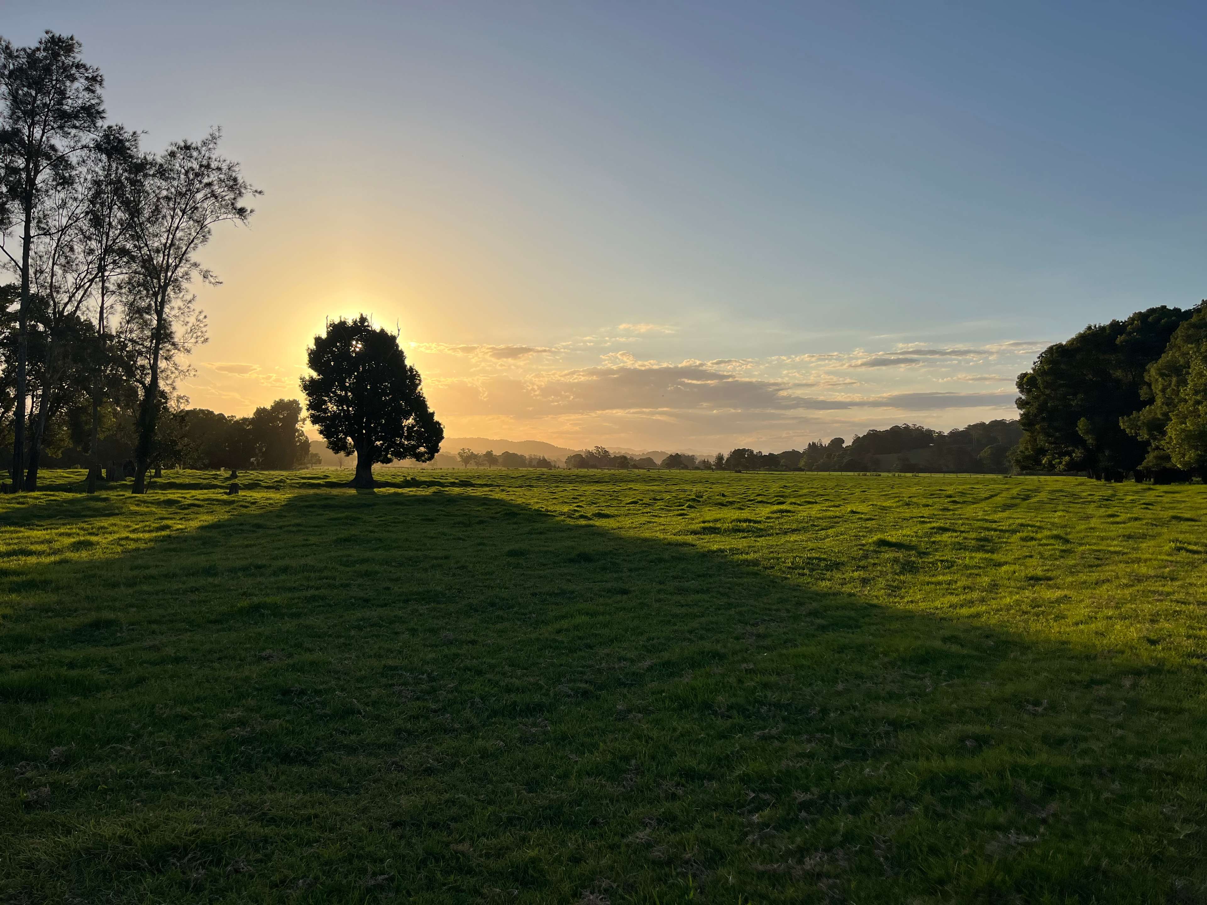 Riverwood 383 Fish off the Banks