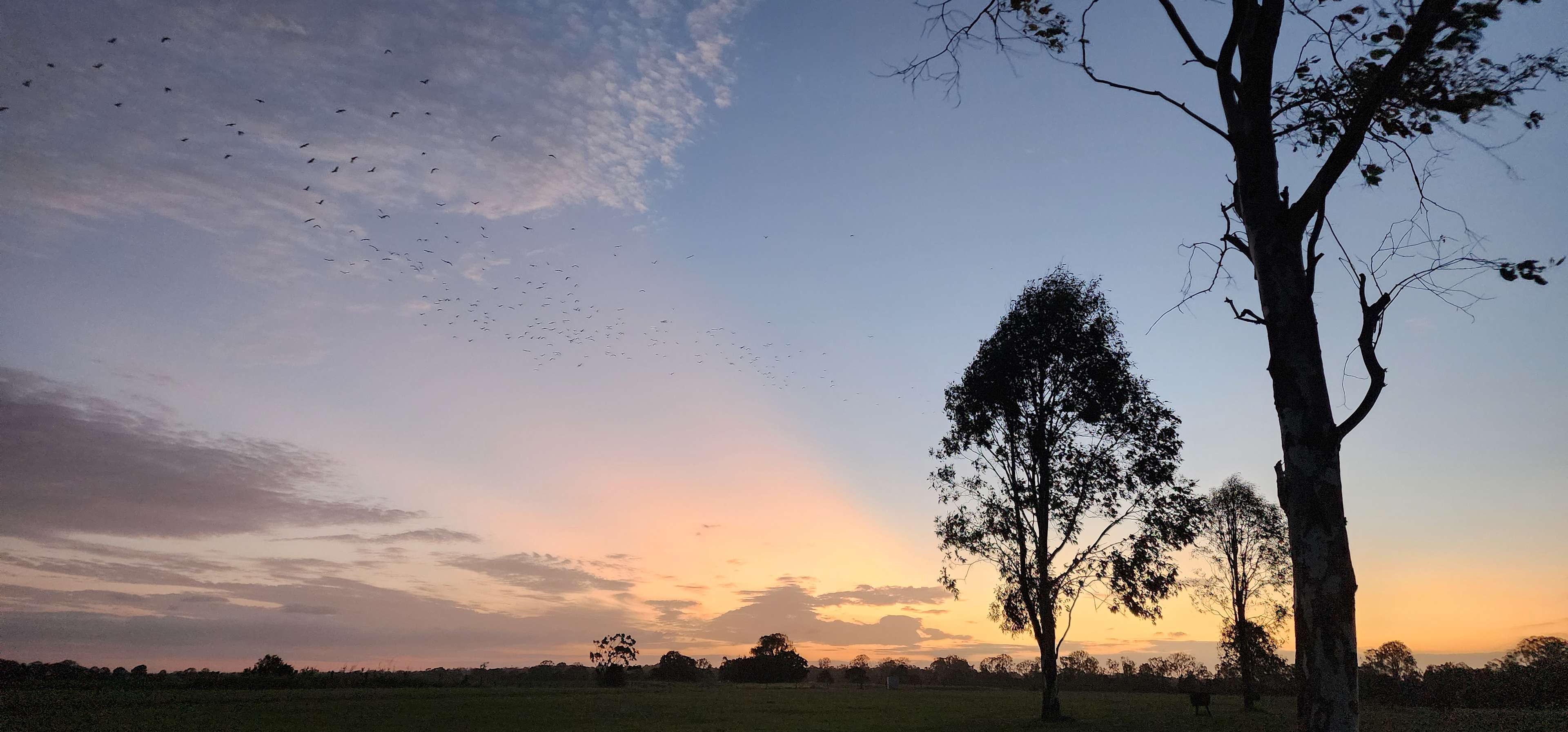 Gorgeous sunset view