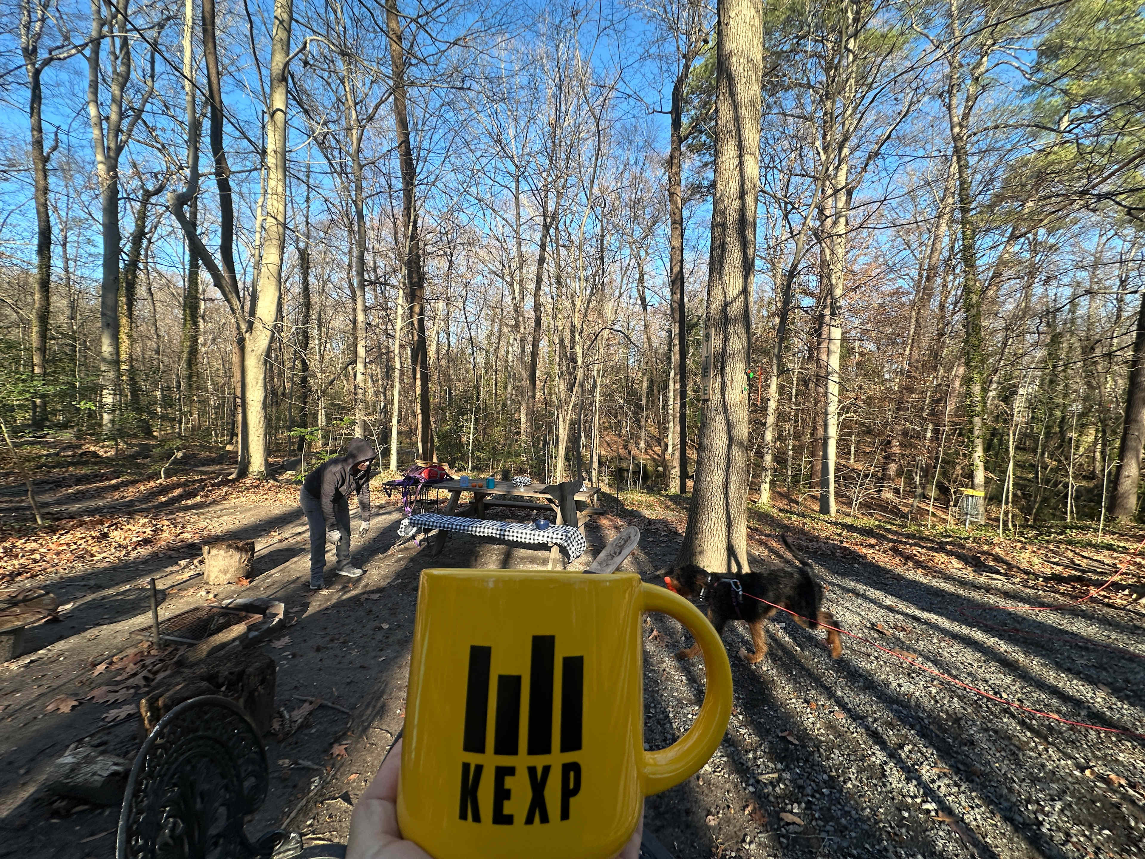 City Camp on Reedy Creek