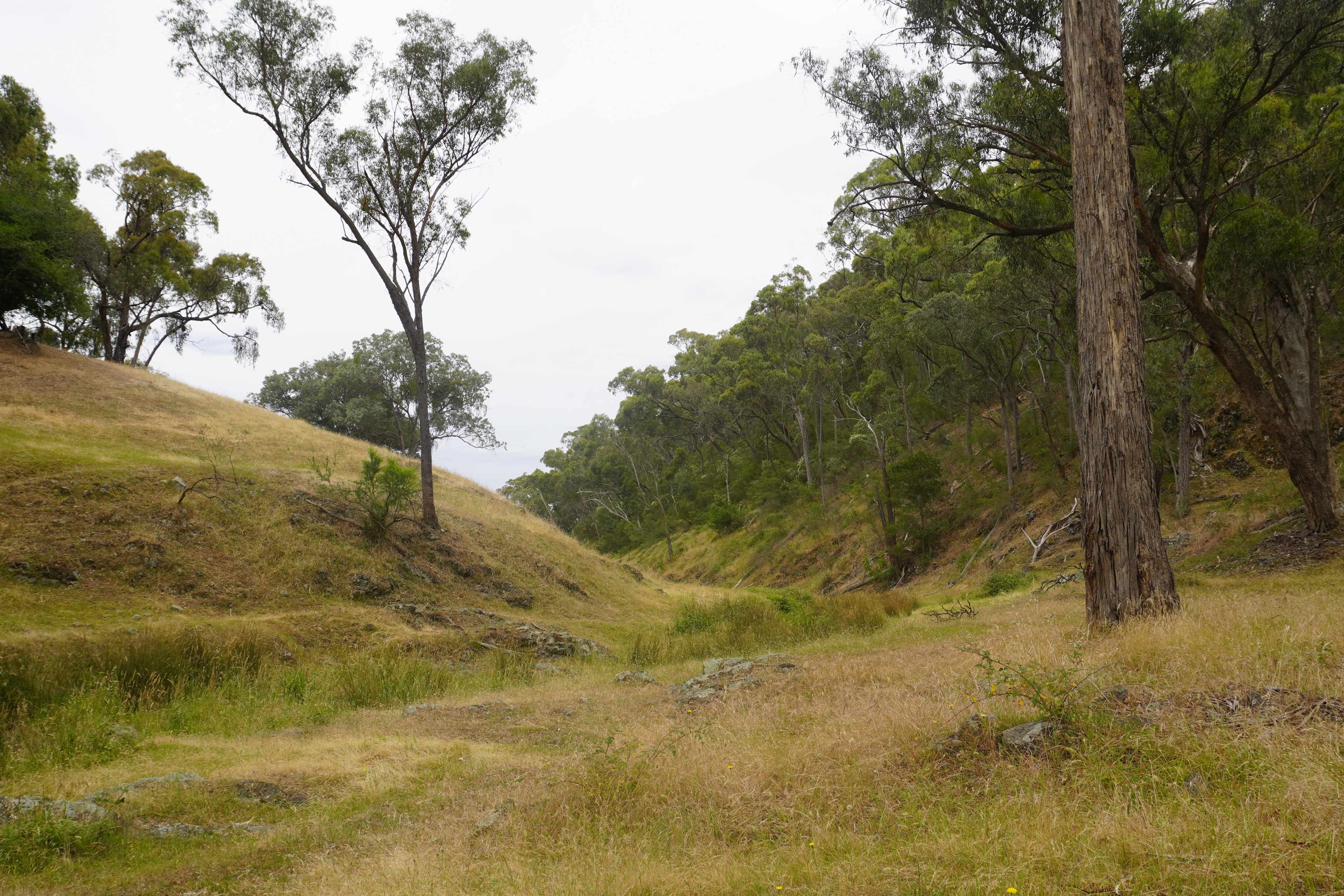 Nillawarre Farm Stay