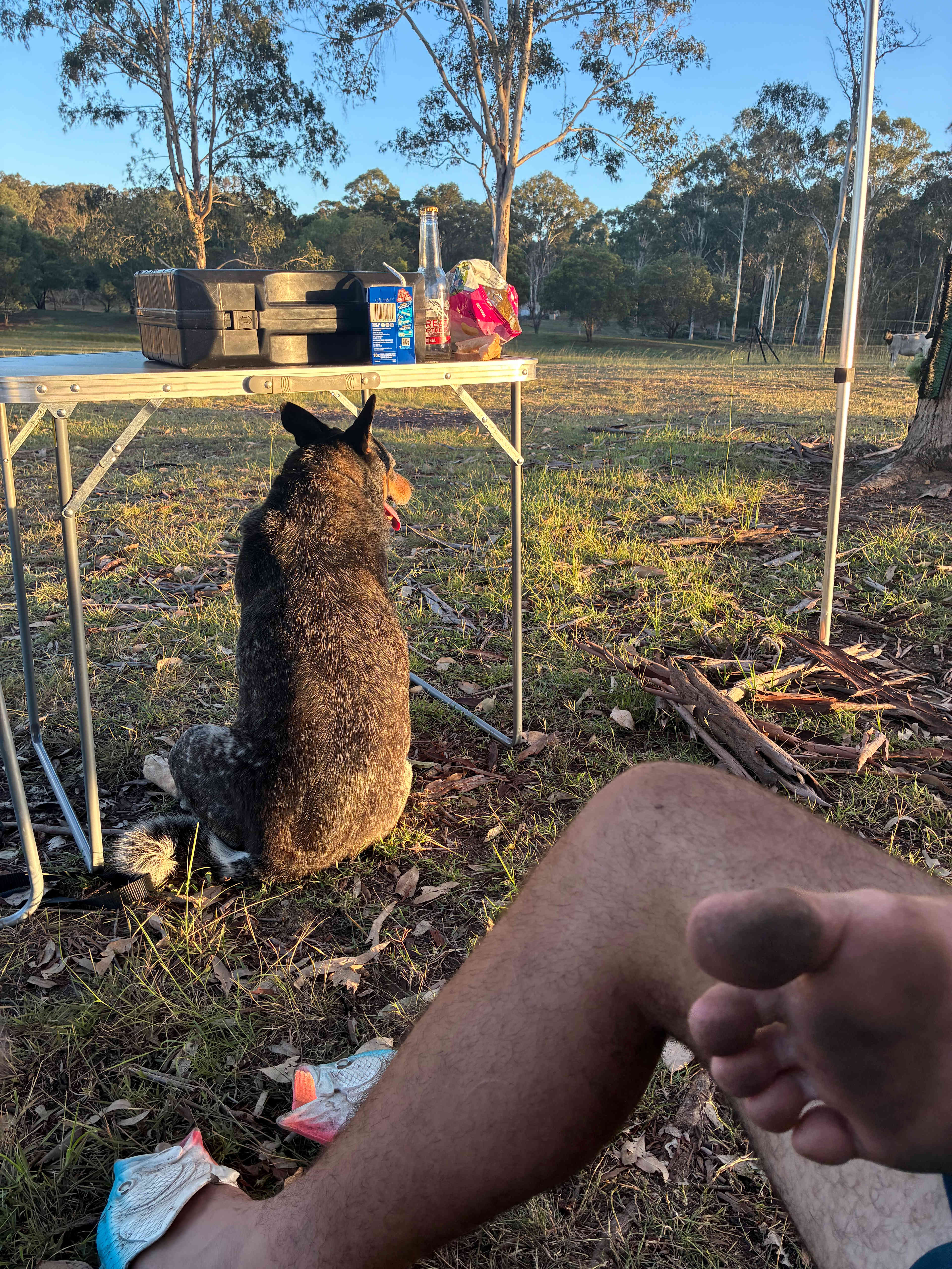 Gumtree Dam Highlands