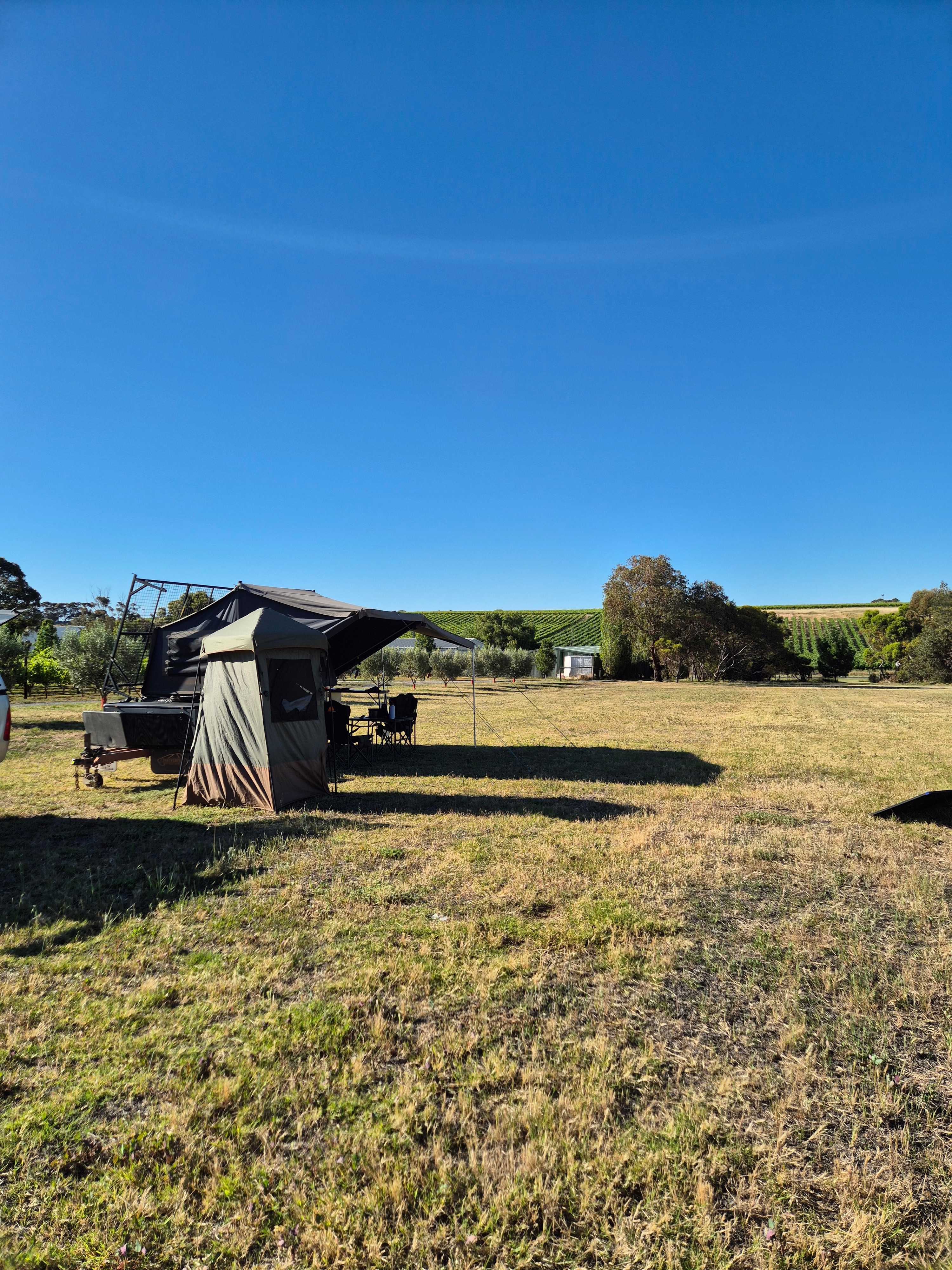 McLaren Vale Vineyard