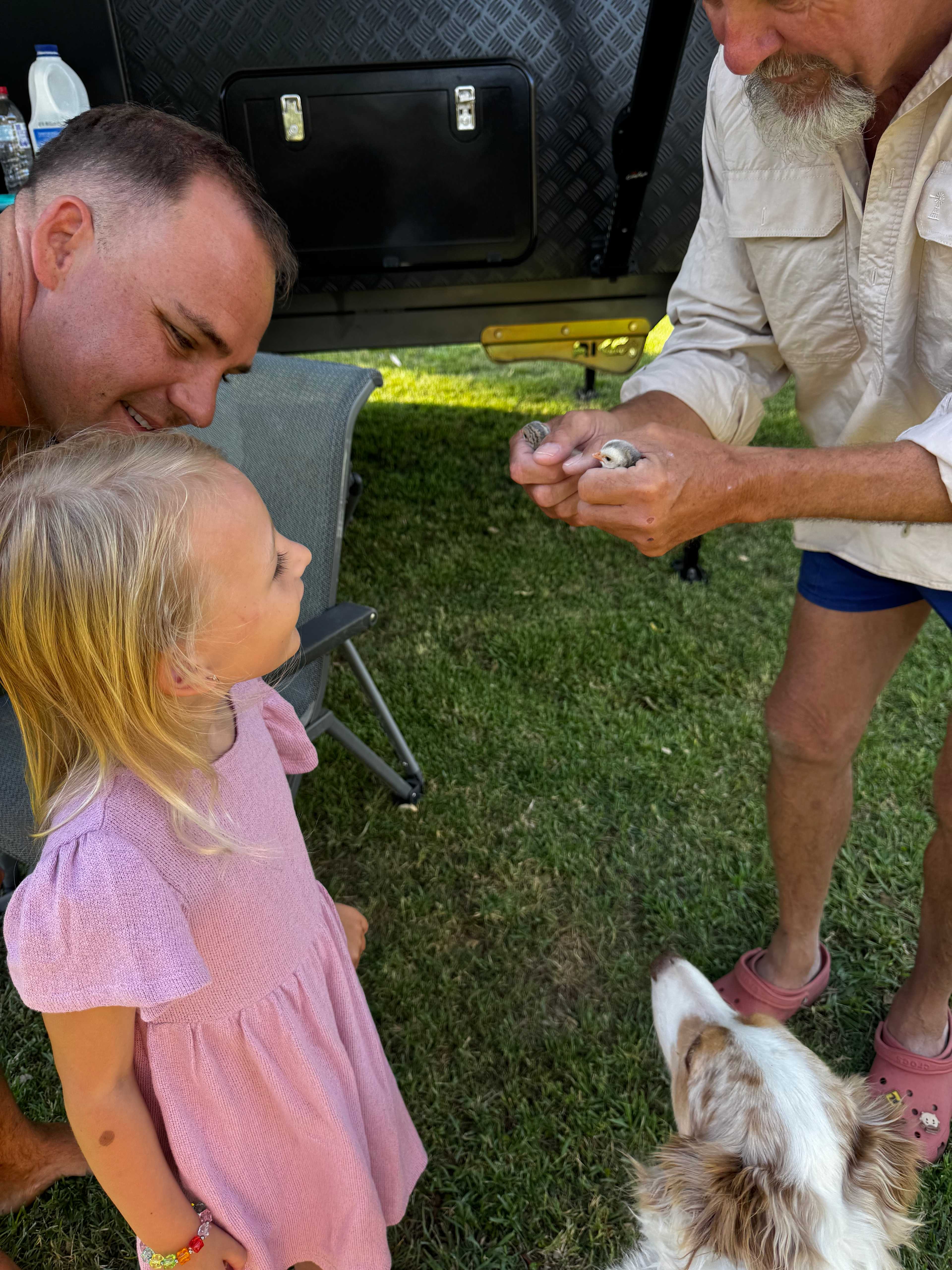 Pringy's Farm Balnagask