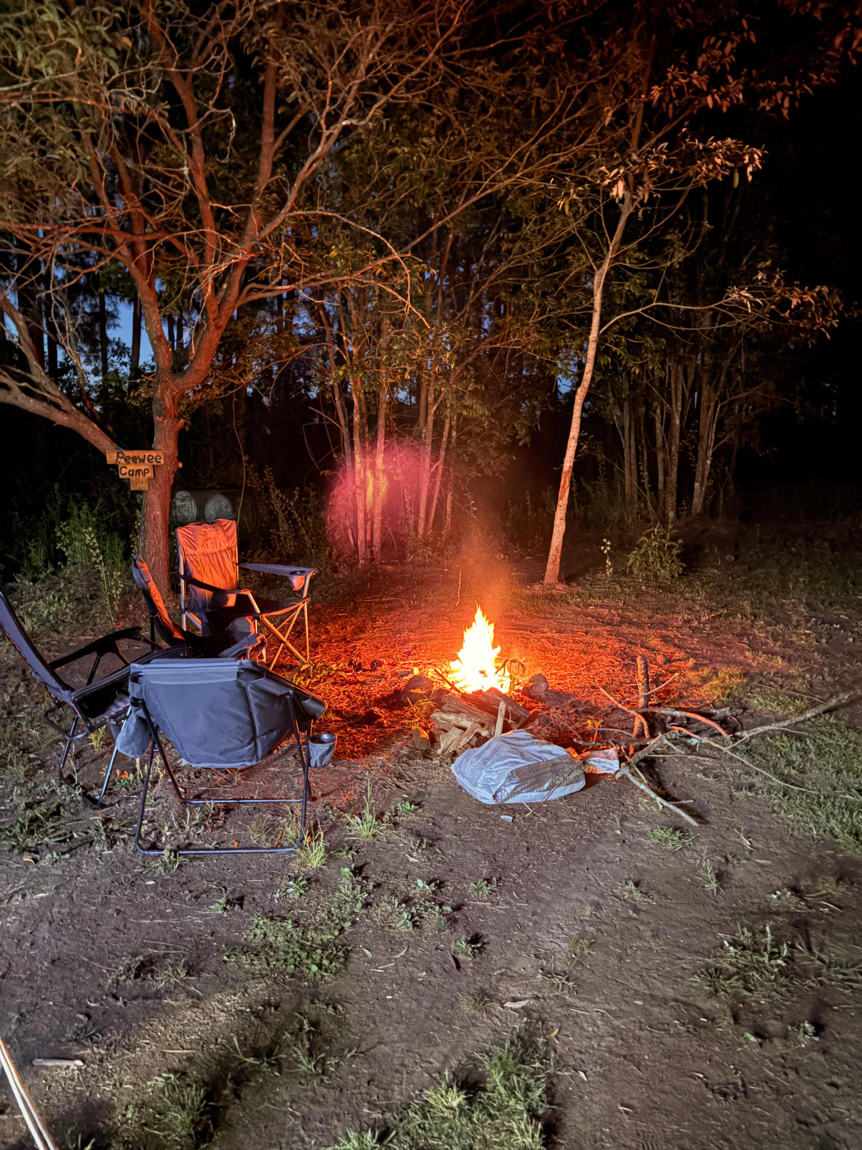 Bushywood at Woodfordskilake