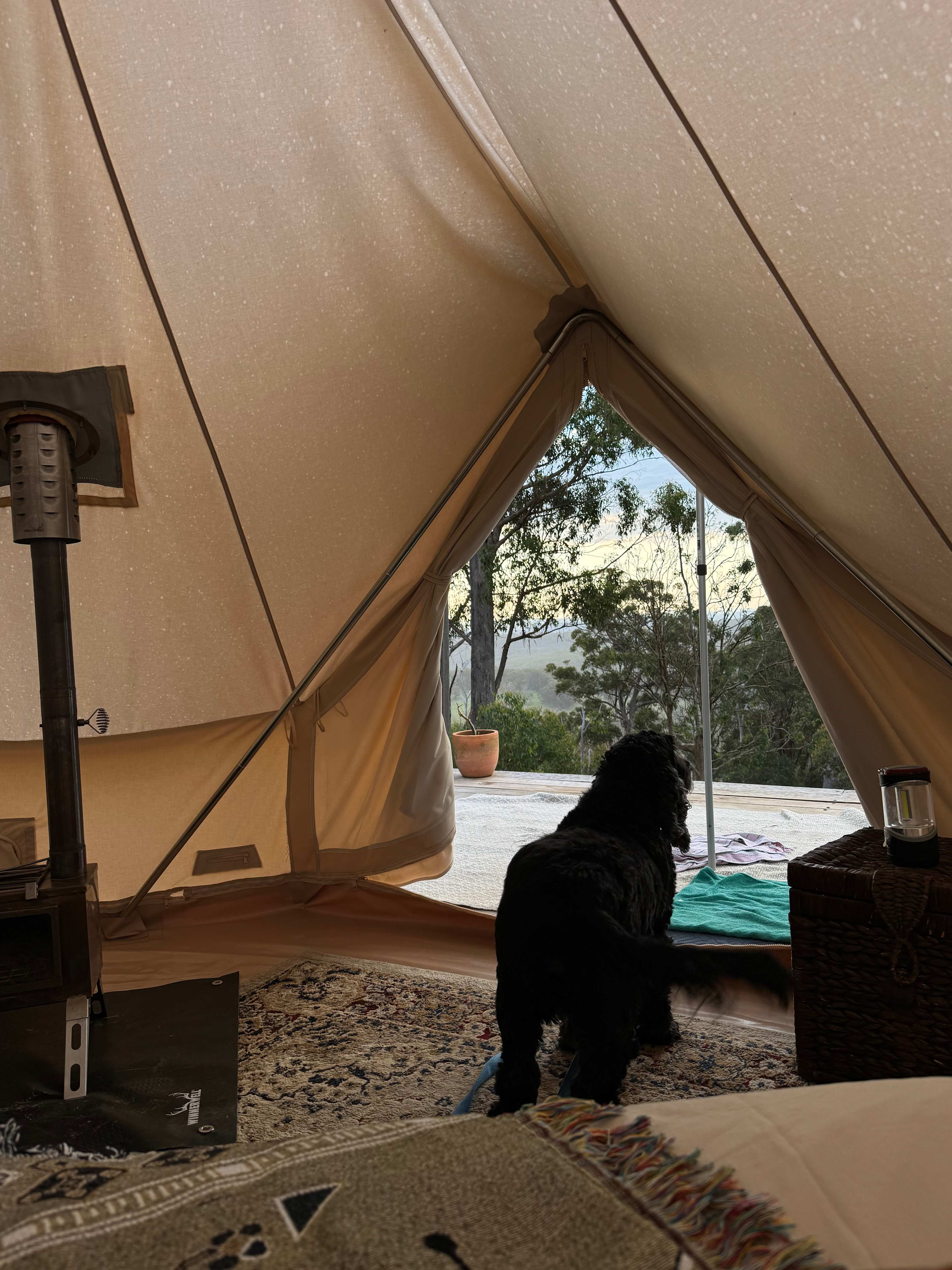 BAJIMBA Eco Camping and Farm Stay