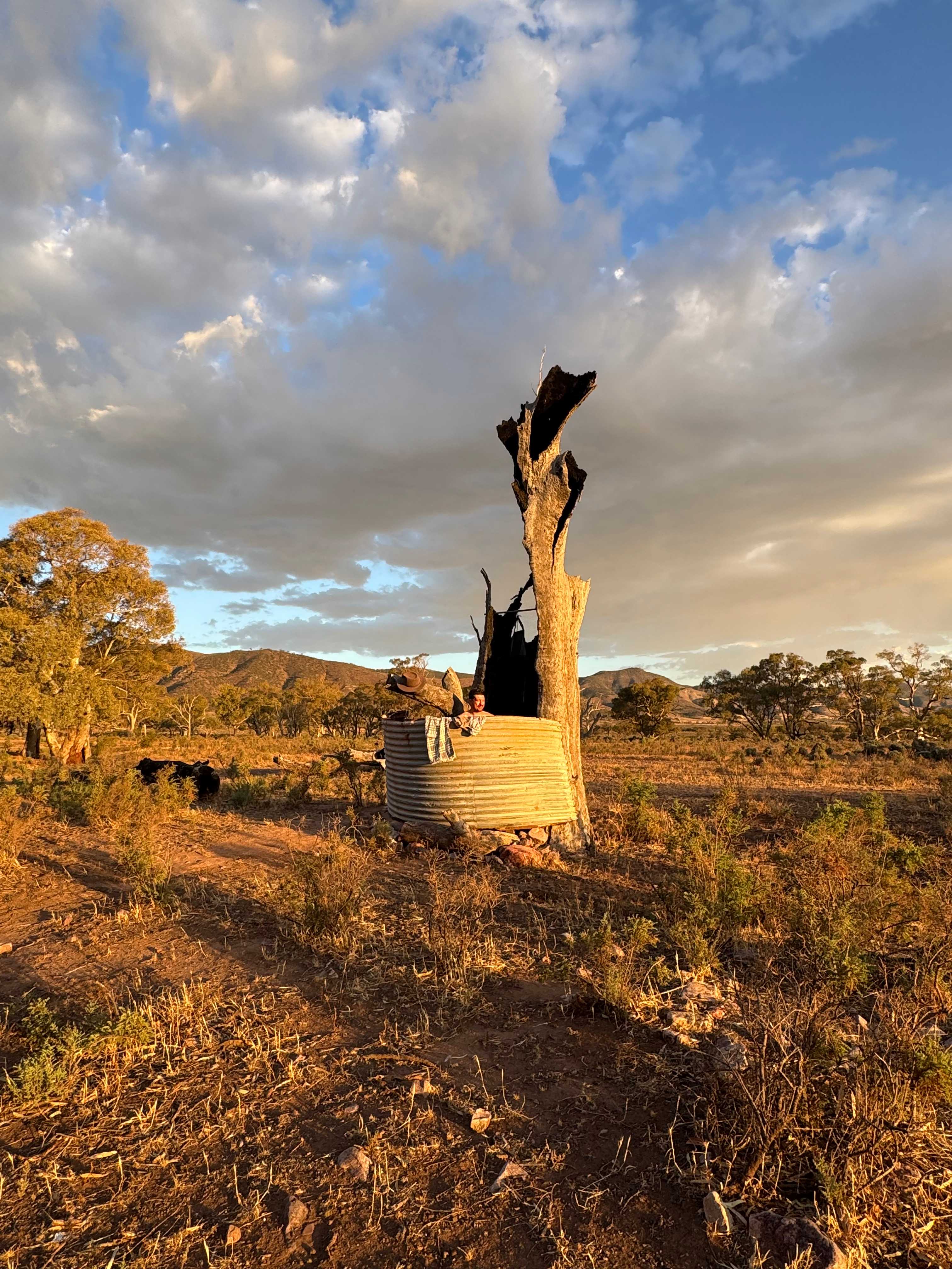 Catninga Camps & Accommodation